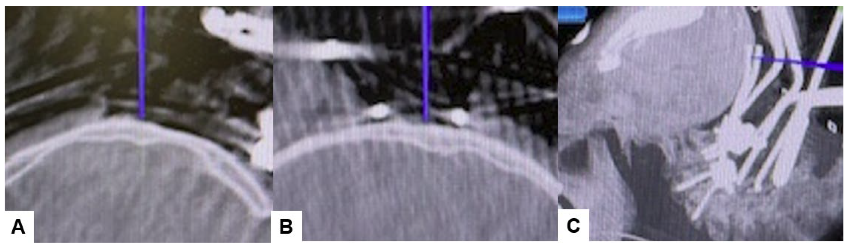 Medicina 60 00616 g009 Medicina 60 00616 g009