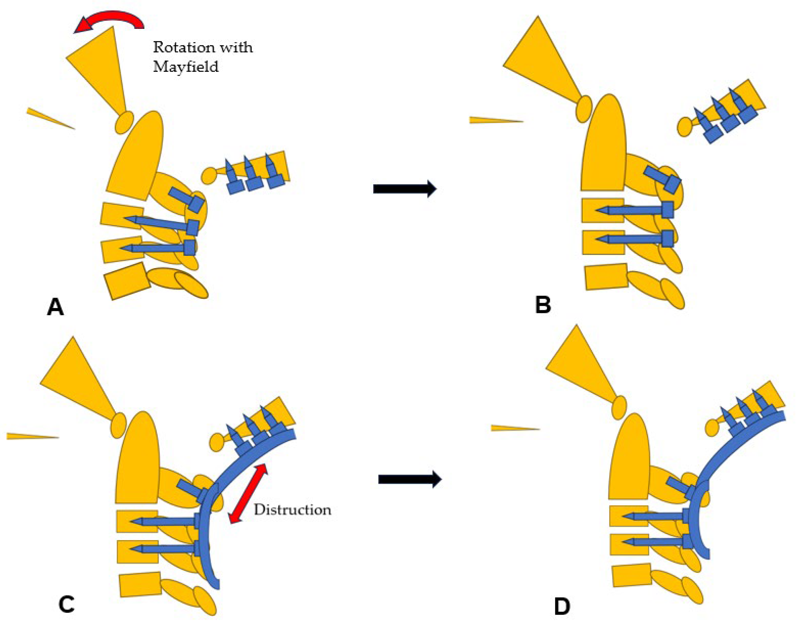 Medicina 60 00616 g010 Medicina 60 00616 g010