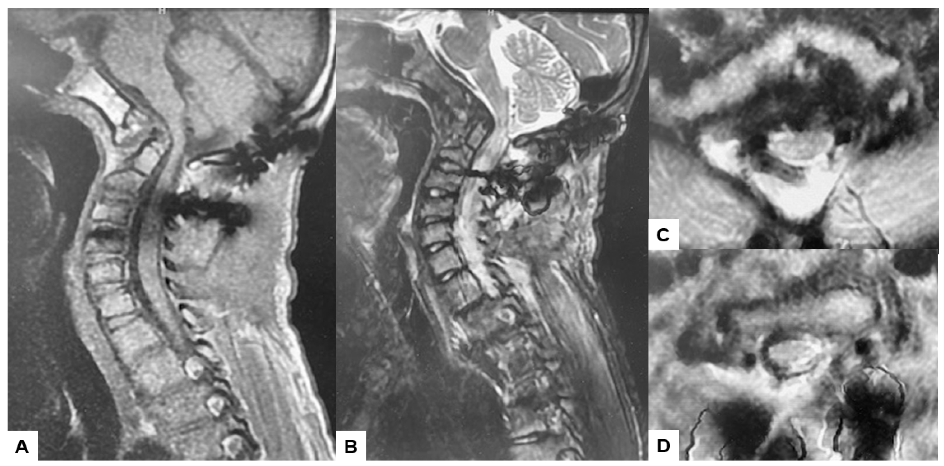 Medicina 60 00616 g015 Medicina 60 00616 g015