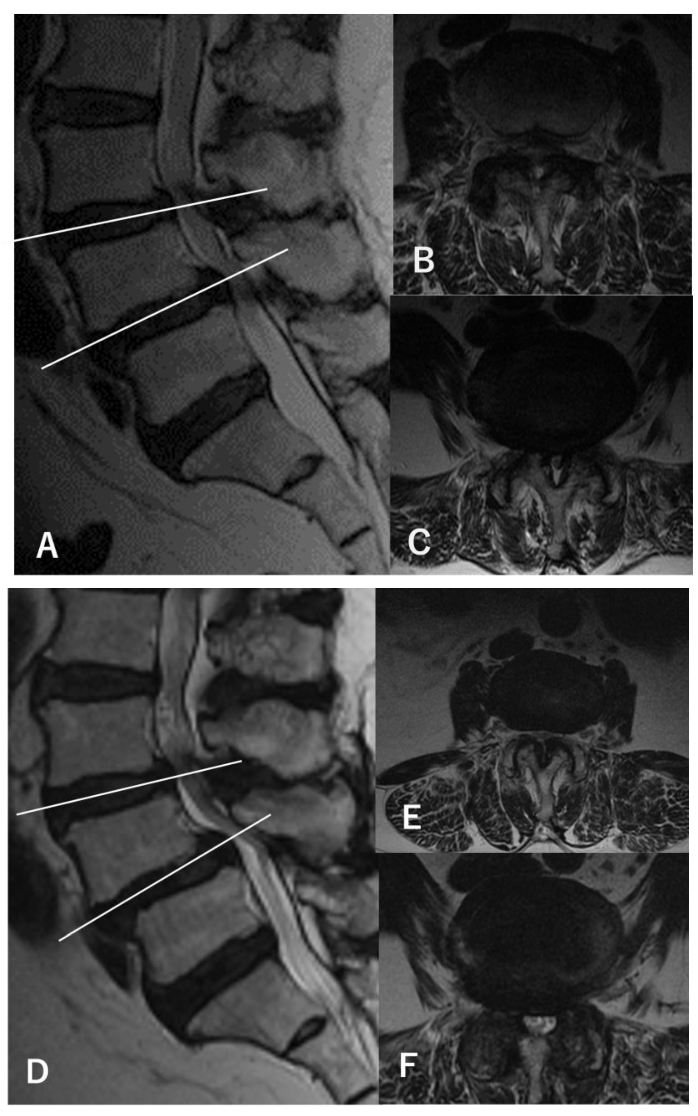 Medicina 60 00636 g002