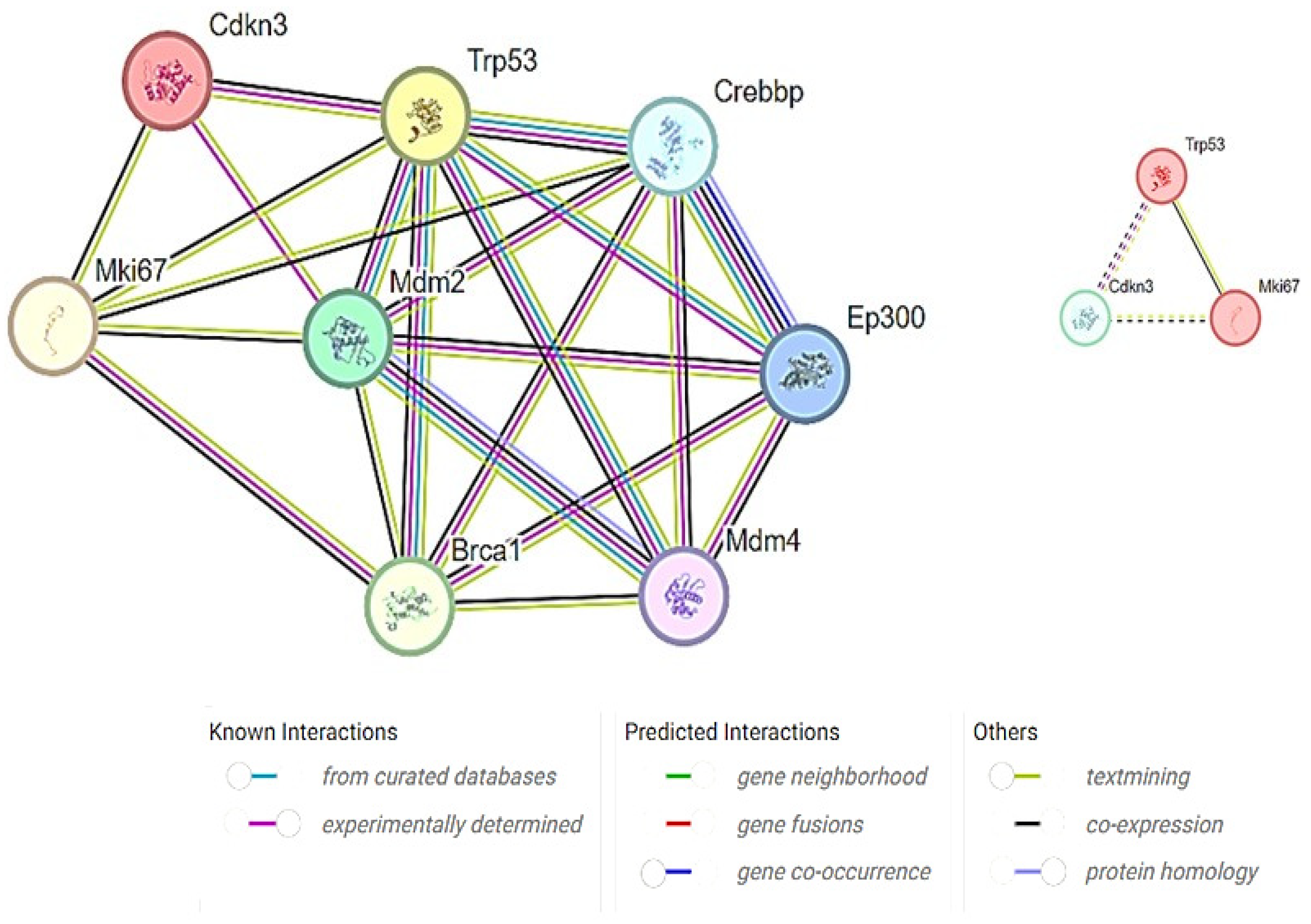 Medicina 60 00639 g008
