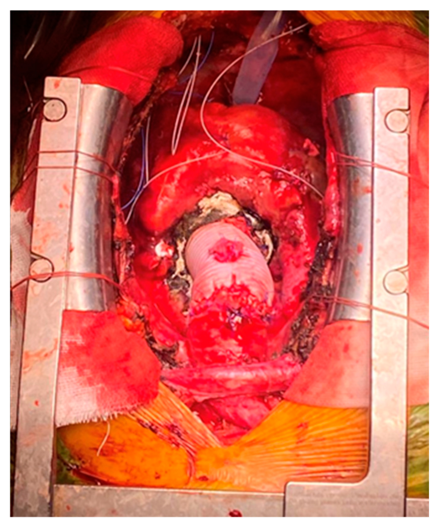 Medicina 60 00661 g001 Medicina 60 00661 g001