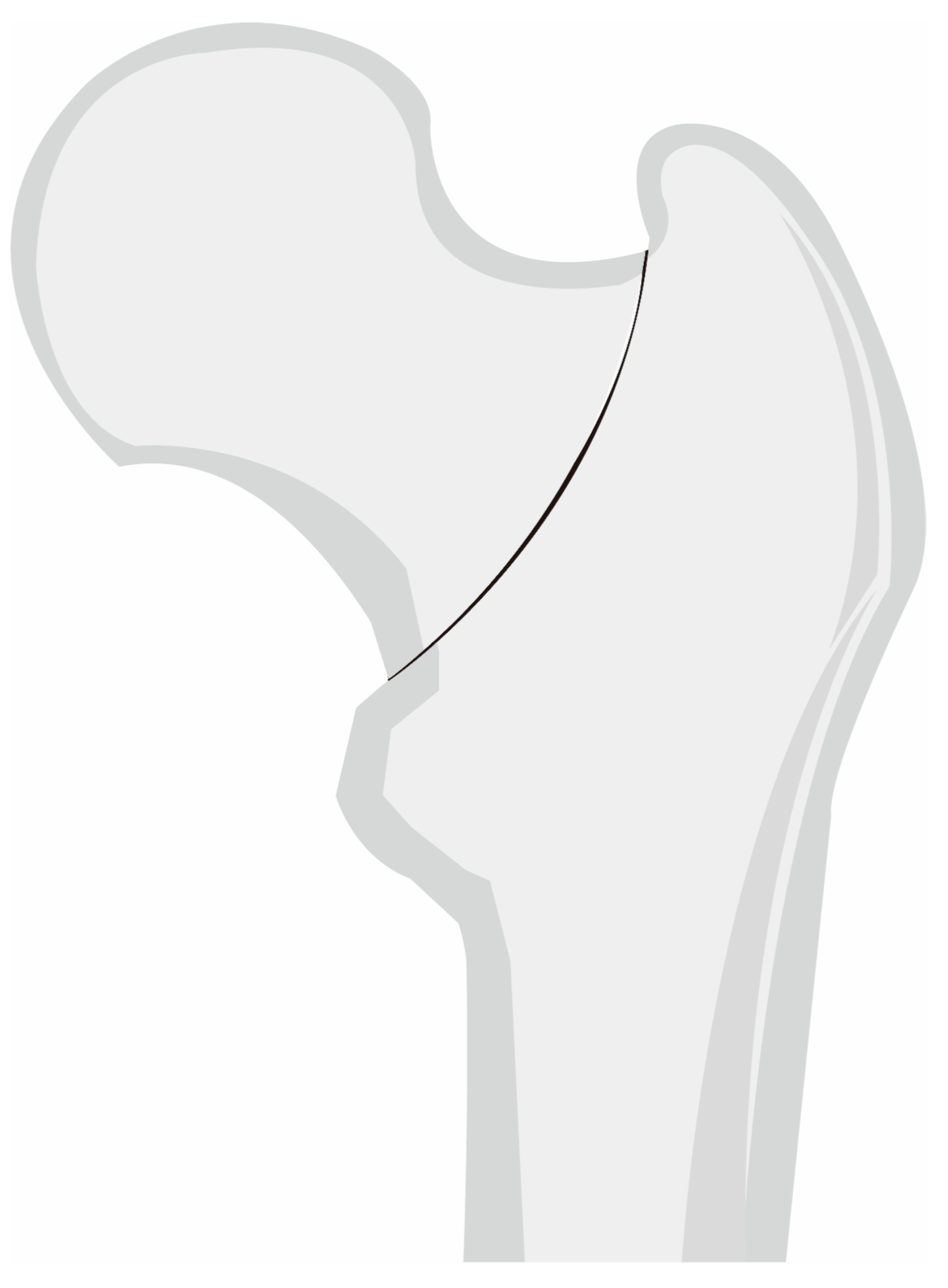 Medicina 60 00680 g001