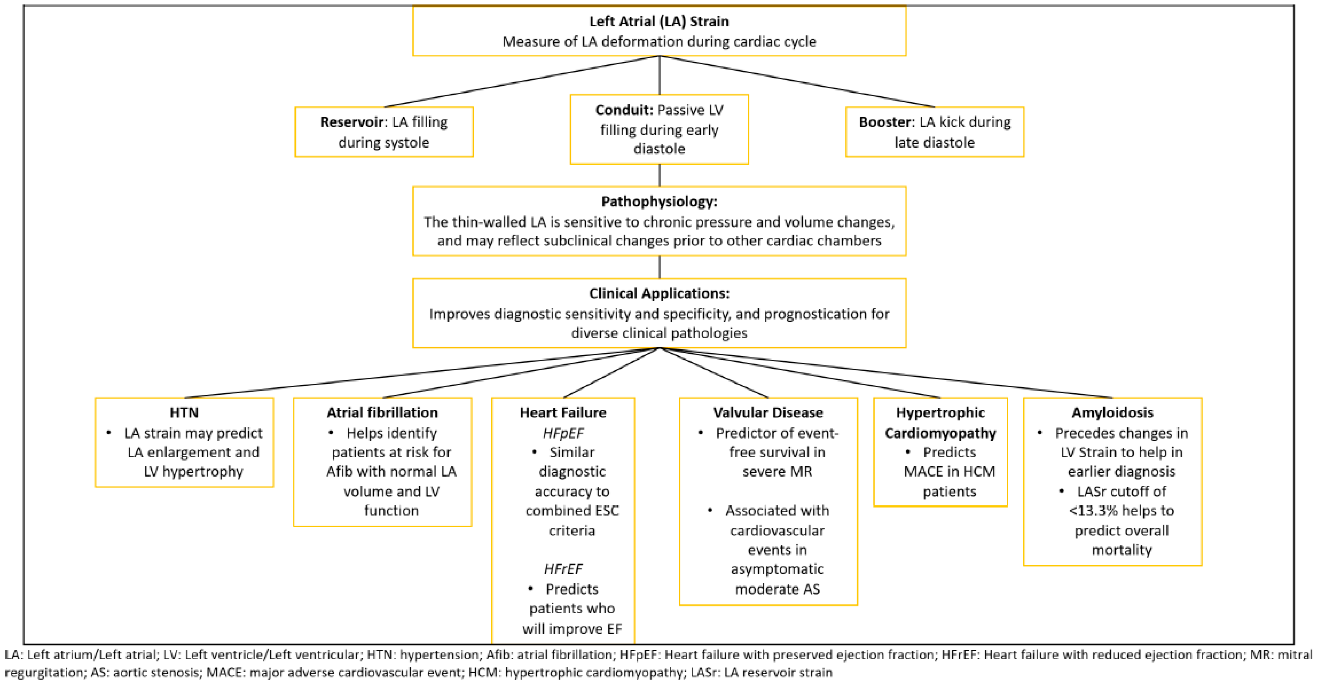 Medicina 60 00693 g005