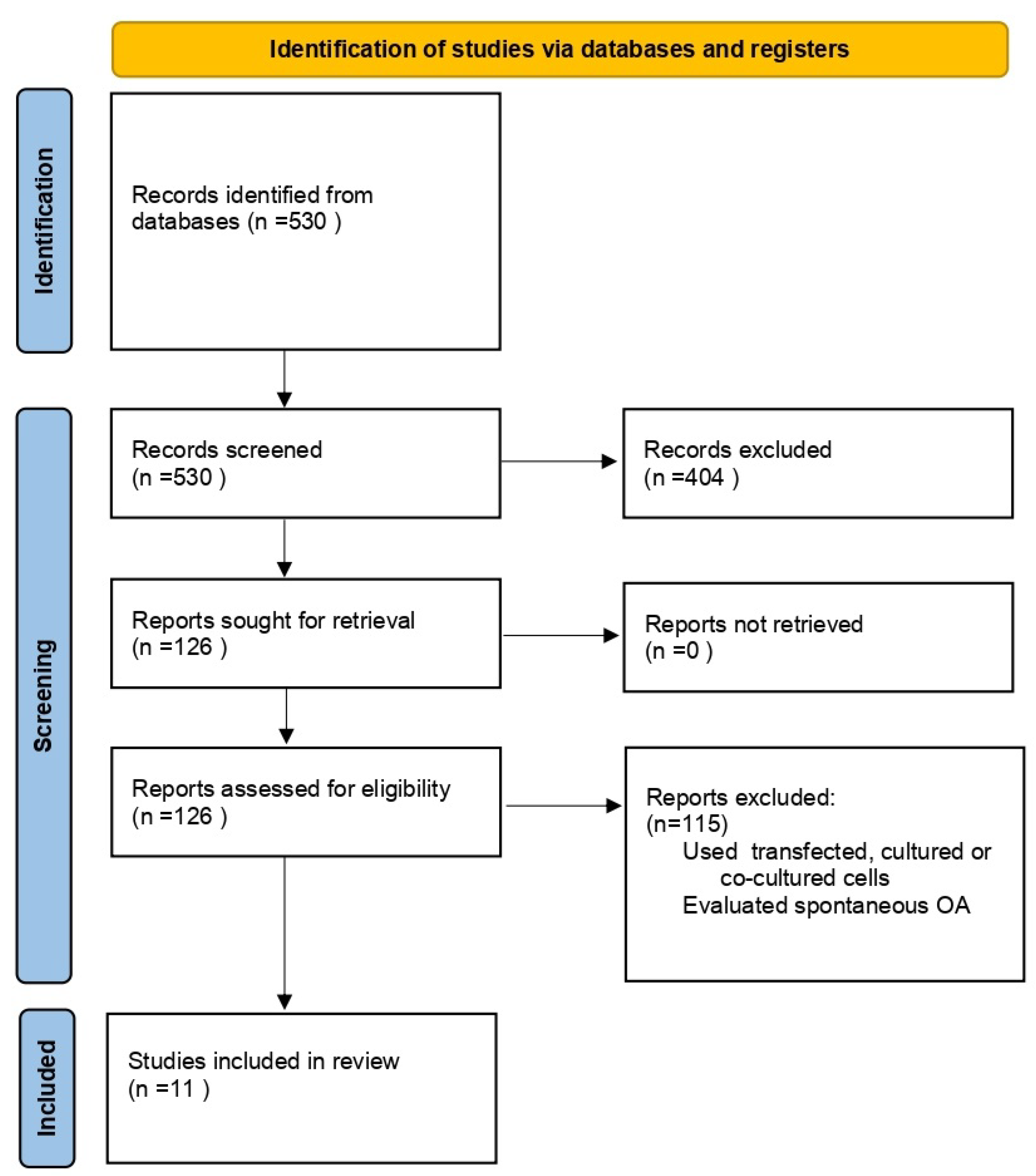 Medicina 60 00707 g002