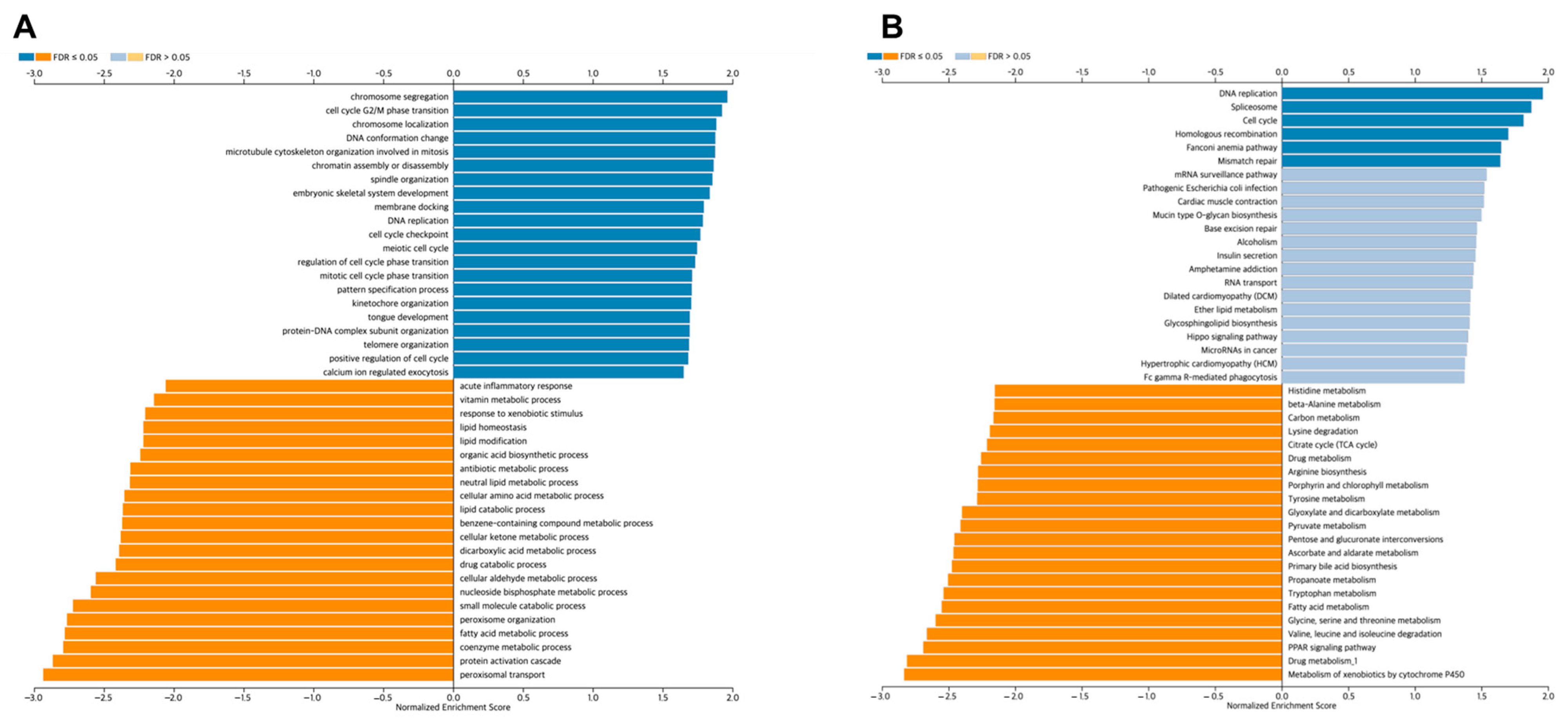 Medicina 60 00716 g006 Medicina 60 00716 g006