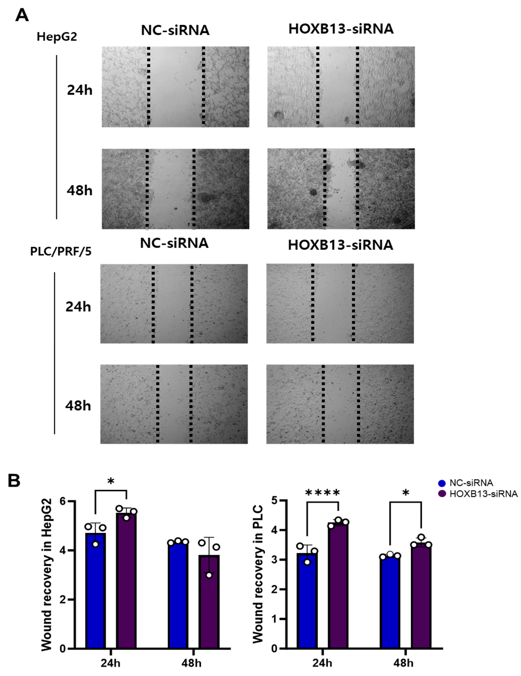 Medicina 60 00716 g010 Medicina 60 00716 g010