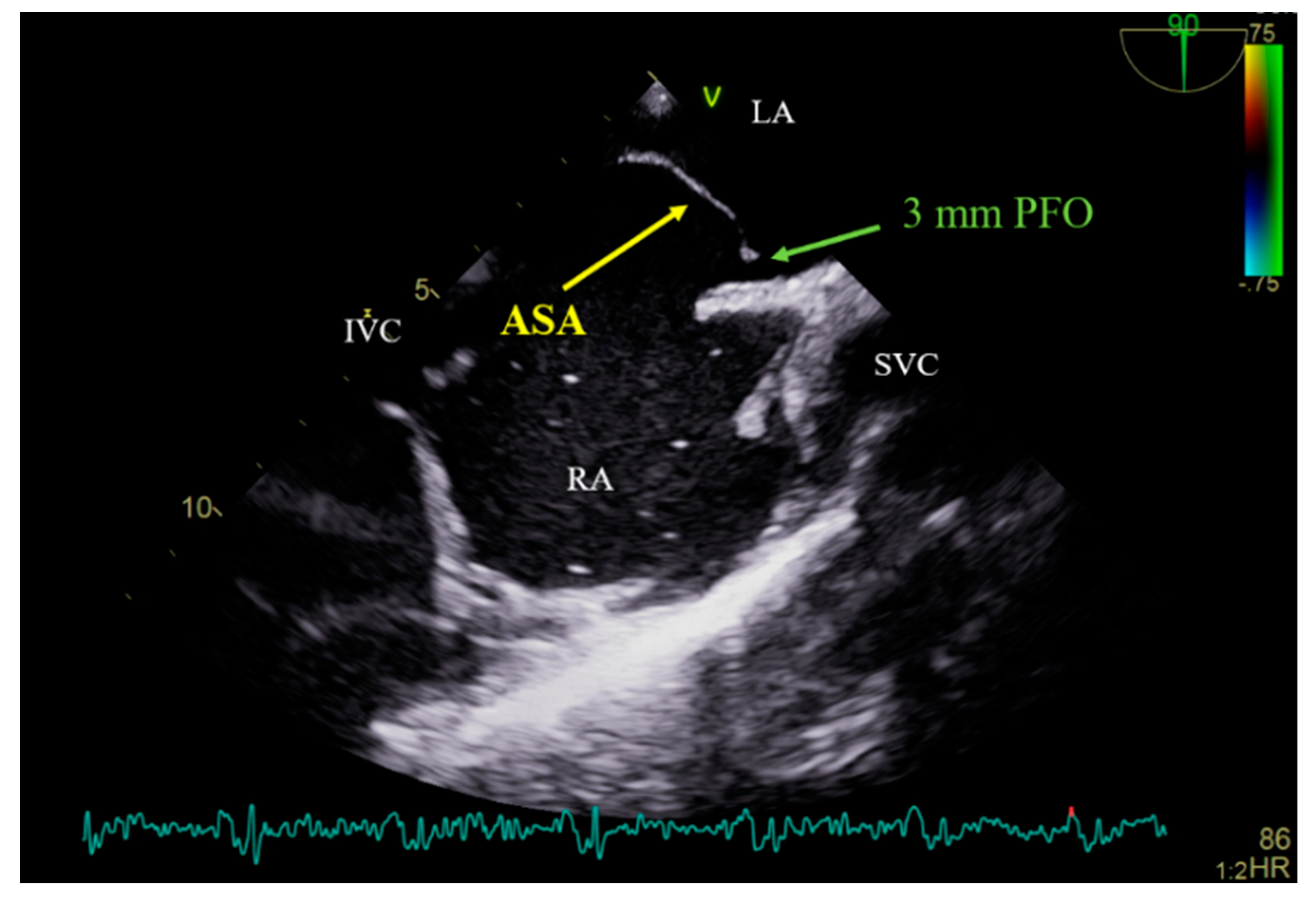 Medicina 60 00717 g001 Medicina 60 00717 g001