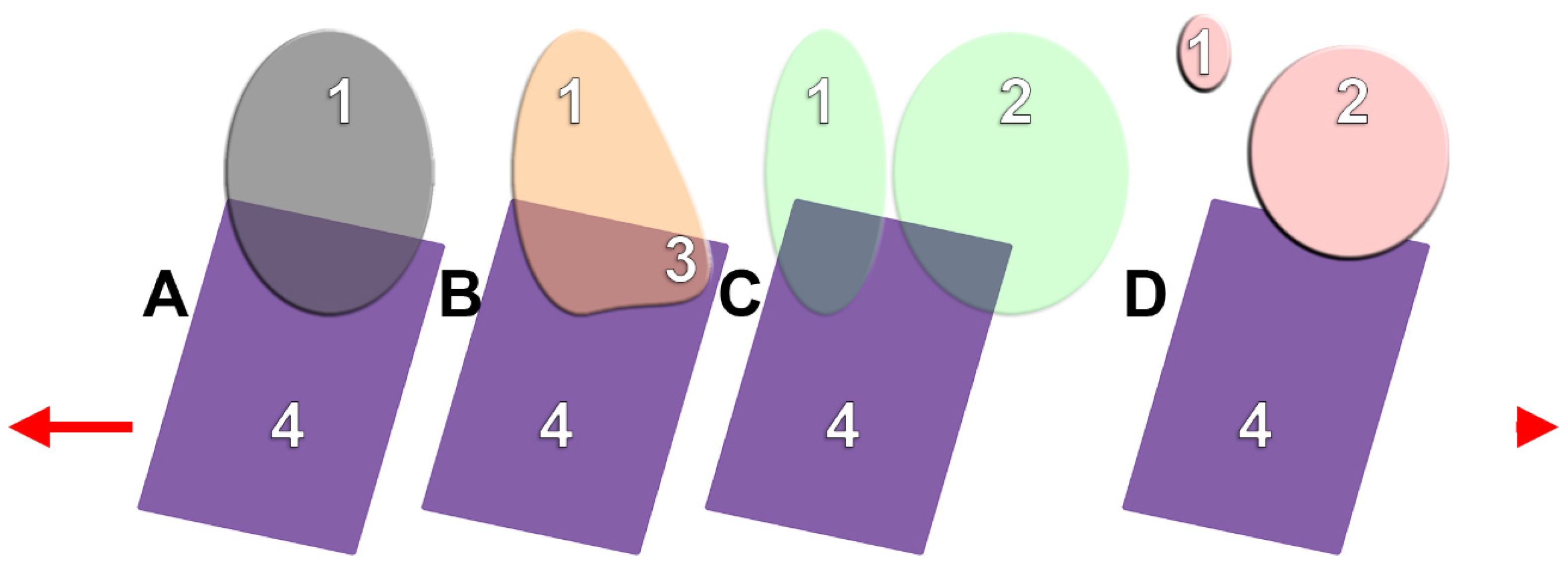 Medicina 60 00726 g001