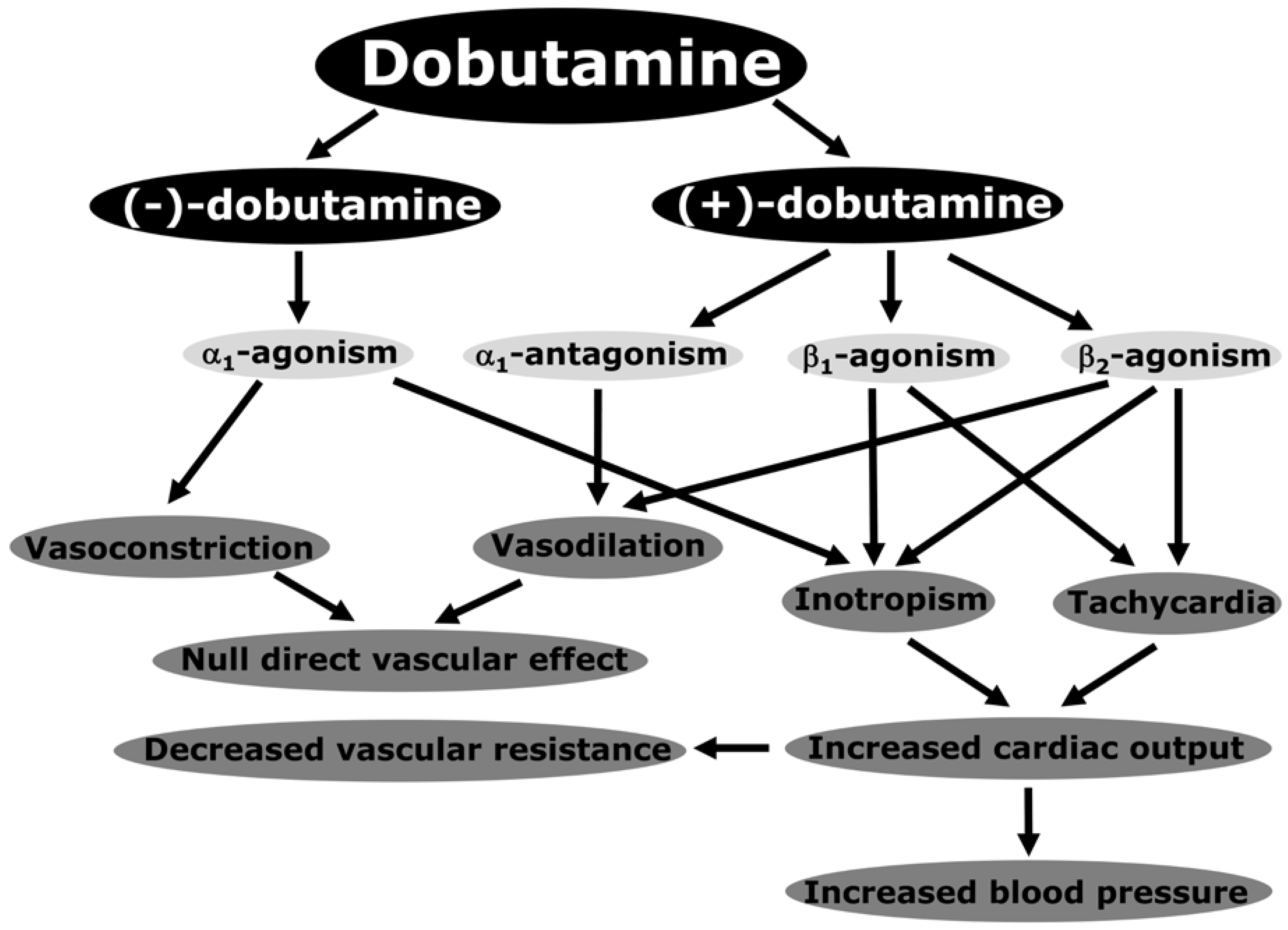 Medicina 60 00751 g001
