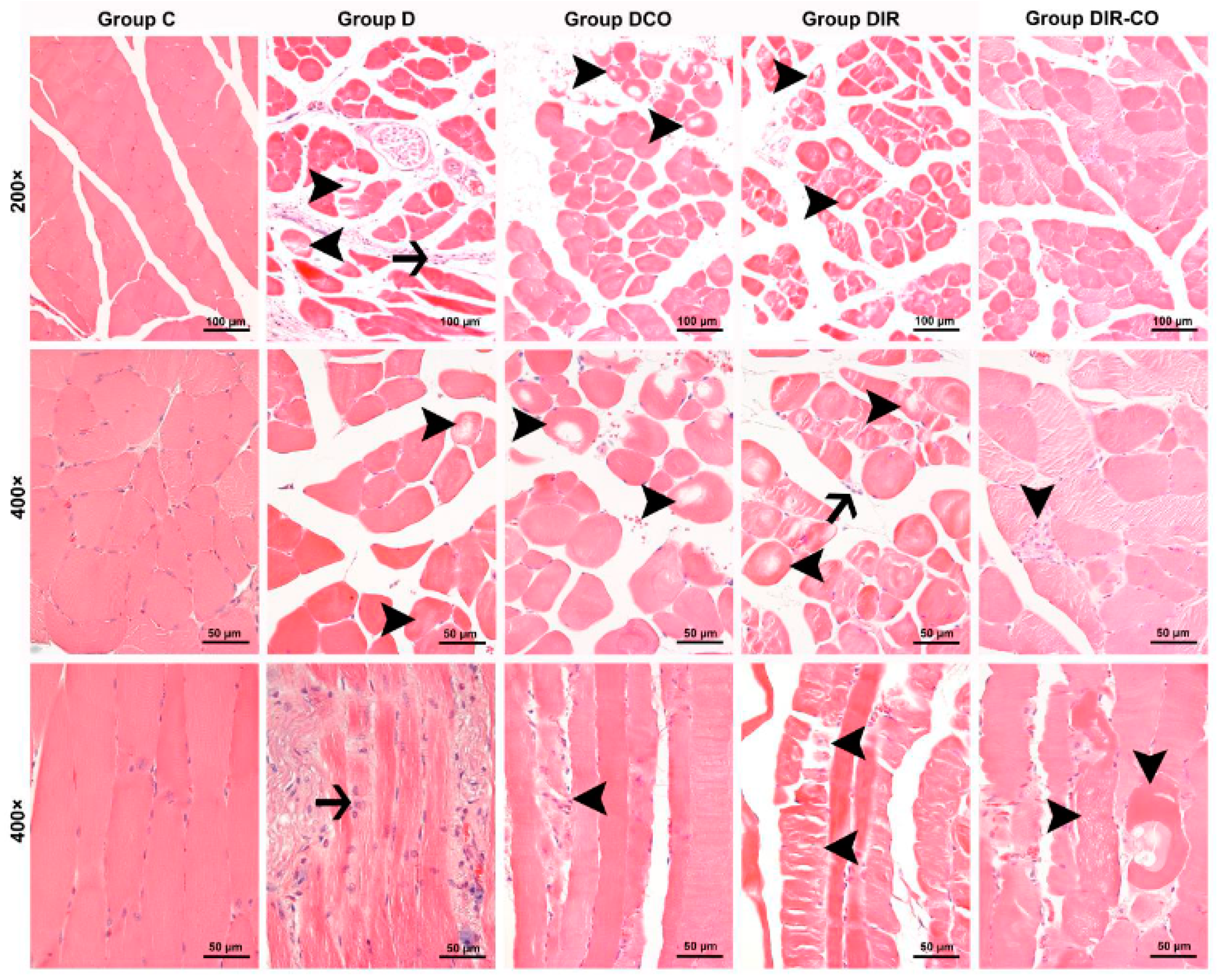 Medicina 60 00752 g001