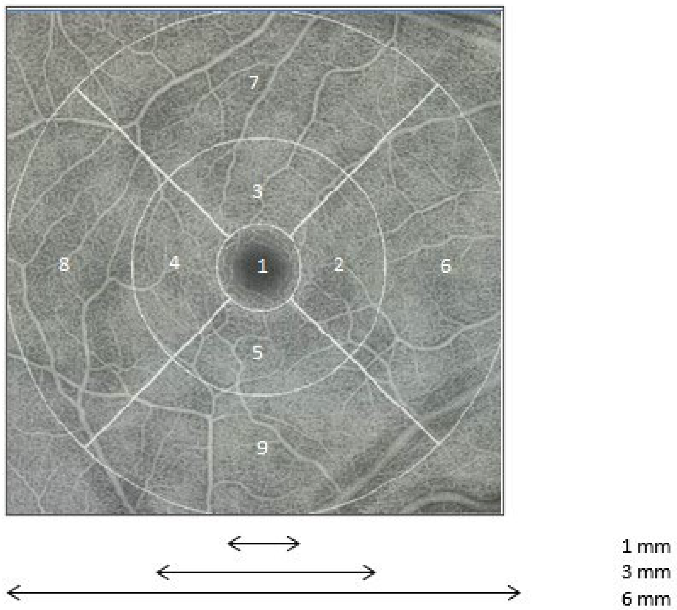 Medicina 60 00757 g001