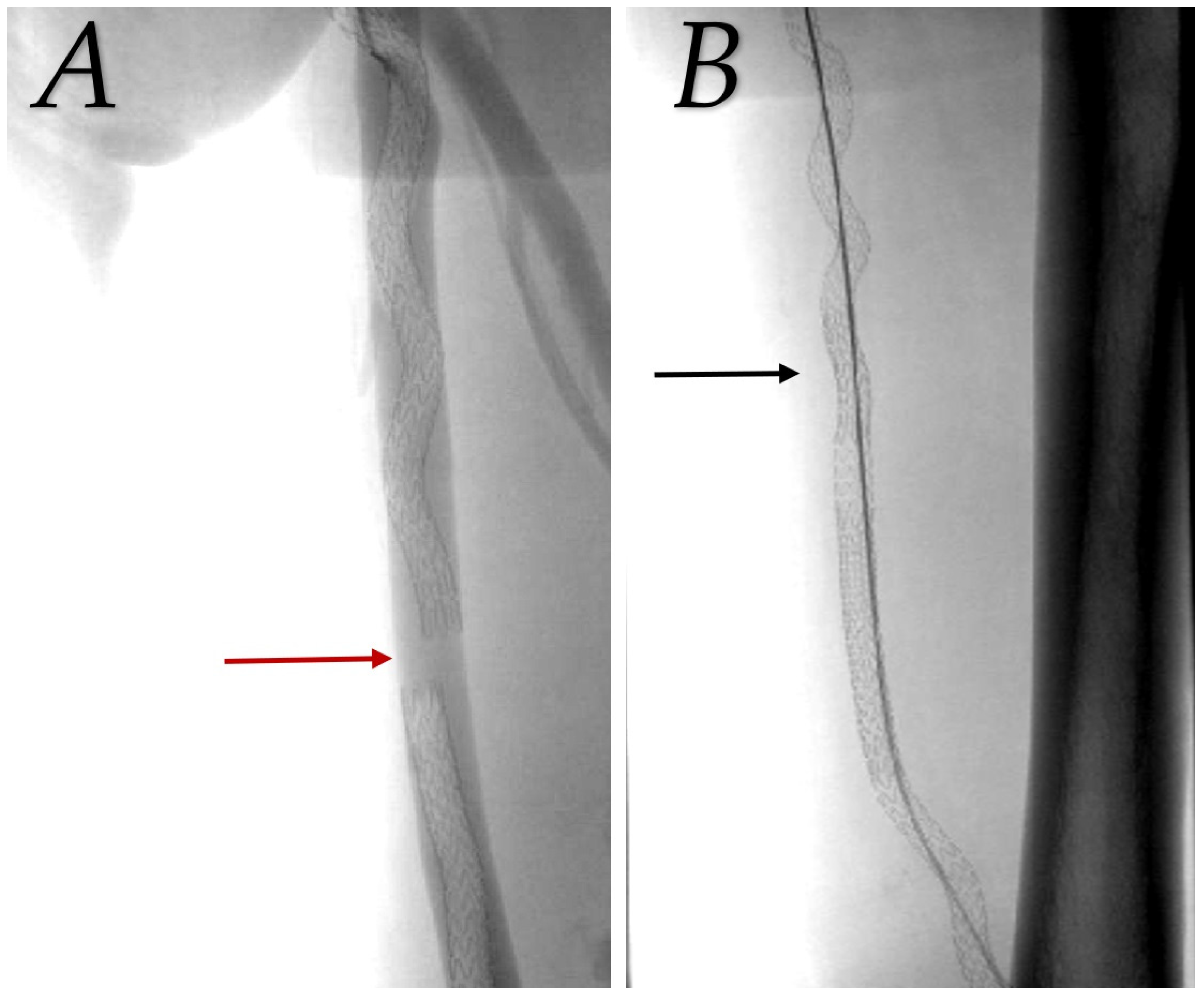 Medicina 60 00777 g003