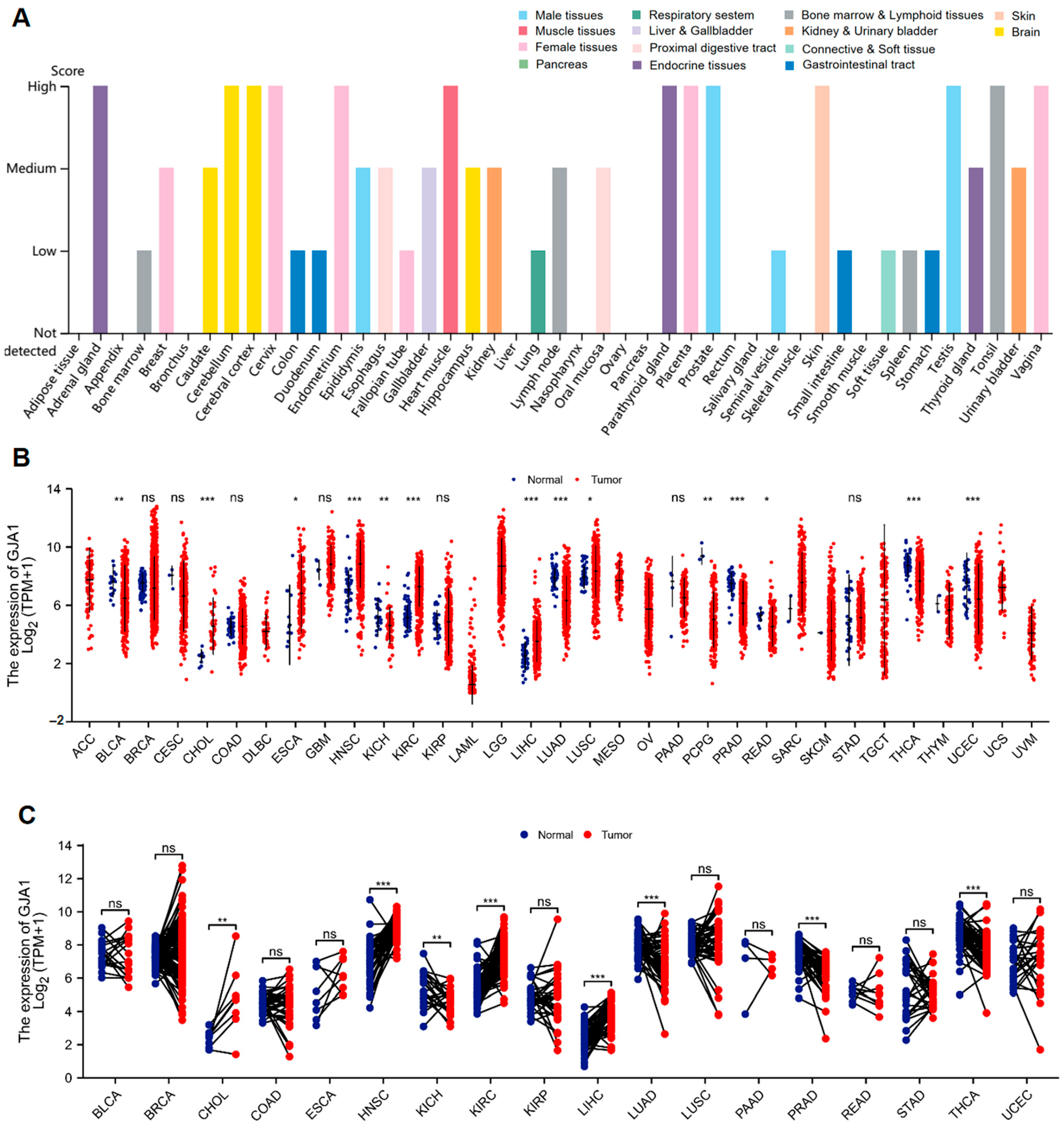 Medicina 60 00780 g001