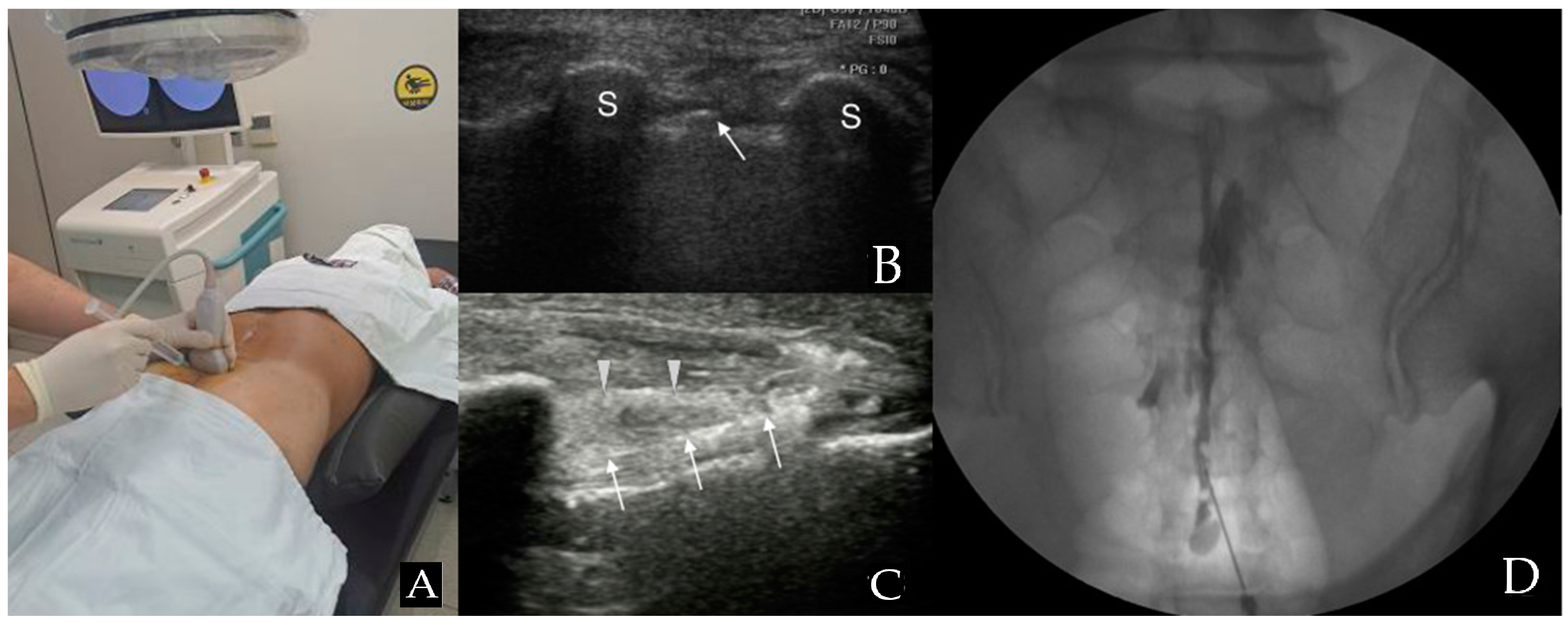 Medicina 60 00809 g001