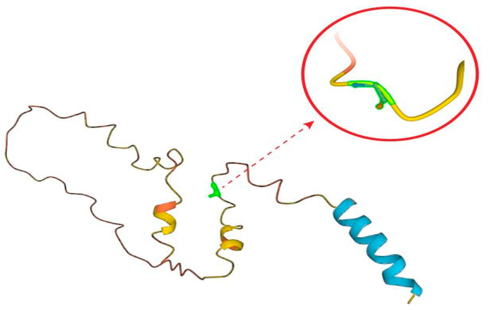 Medicina 60 00830 g004 Medicina 60 00830 g004