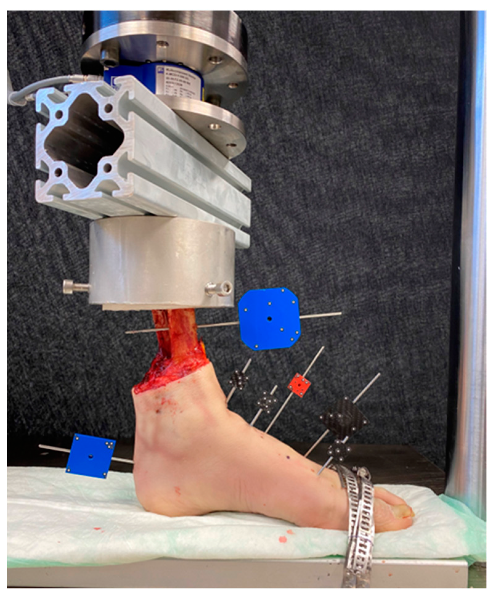 Medicina 60 00844 g006