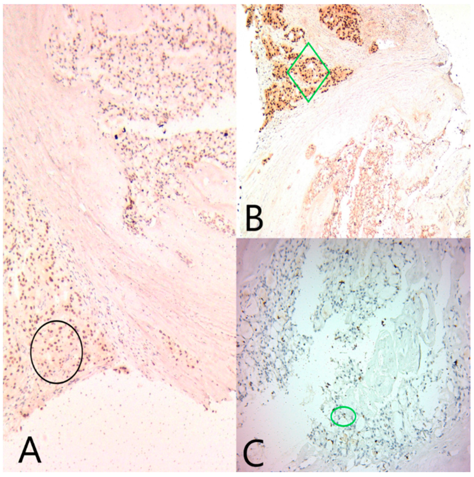 Medicina 60 00924 g004