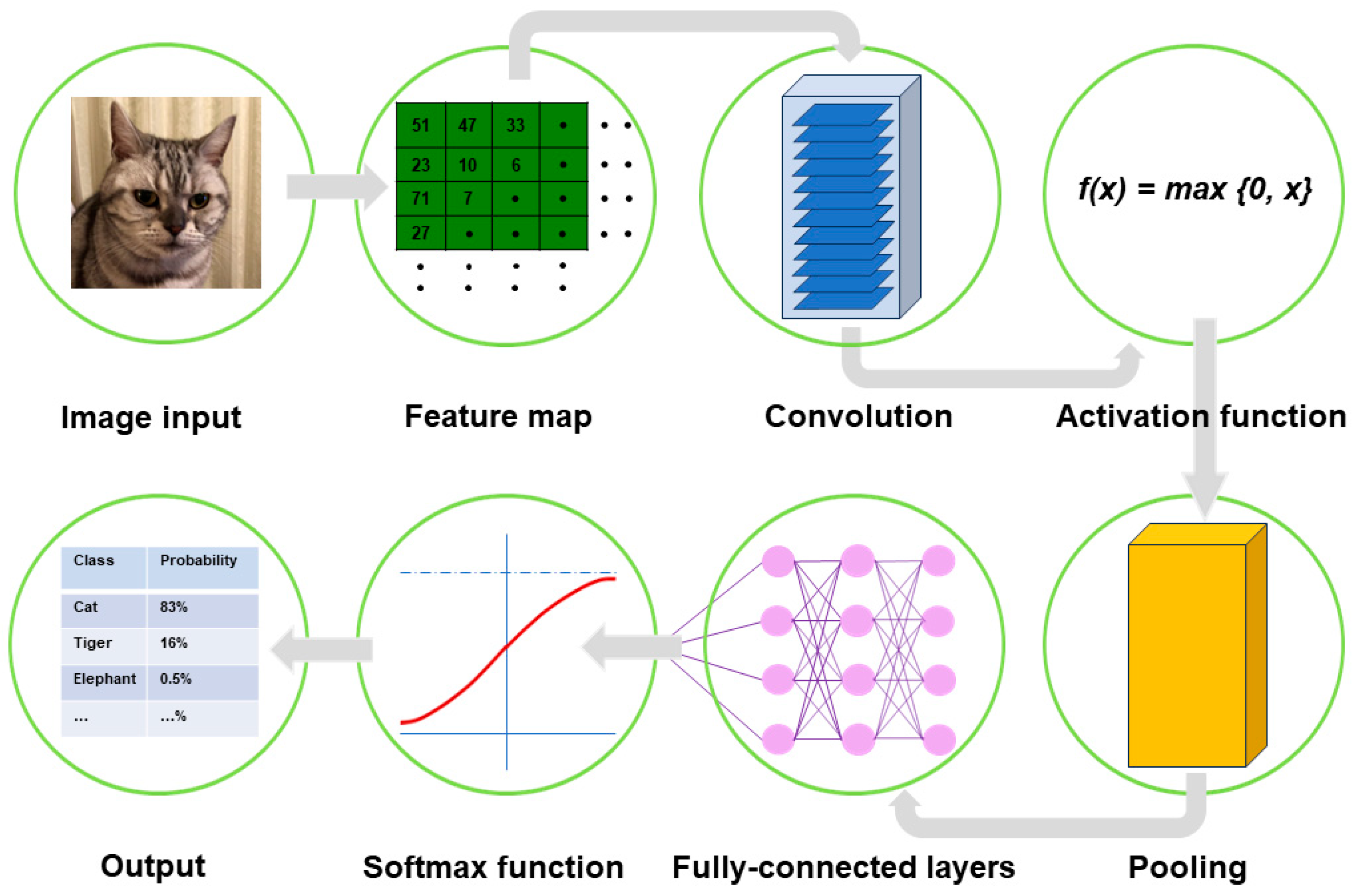 Medicina 60 00972 g001