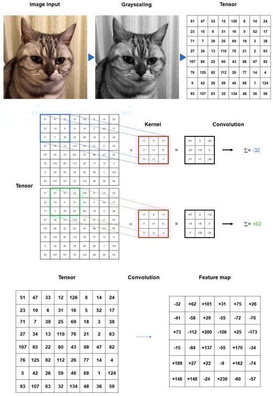 Medicina 60 00972 g002