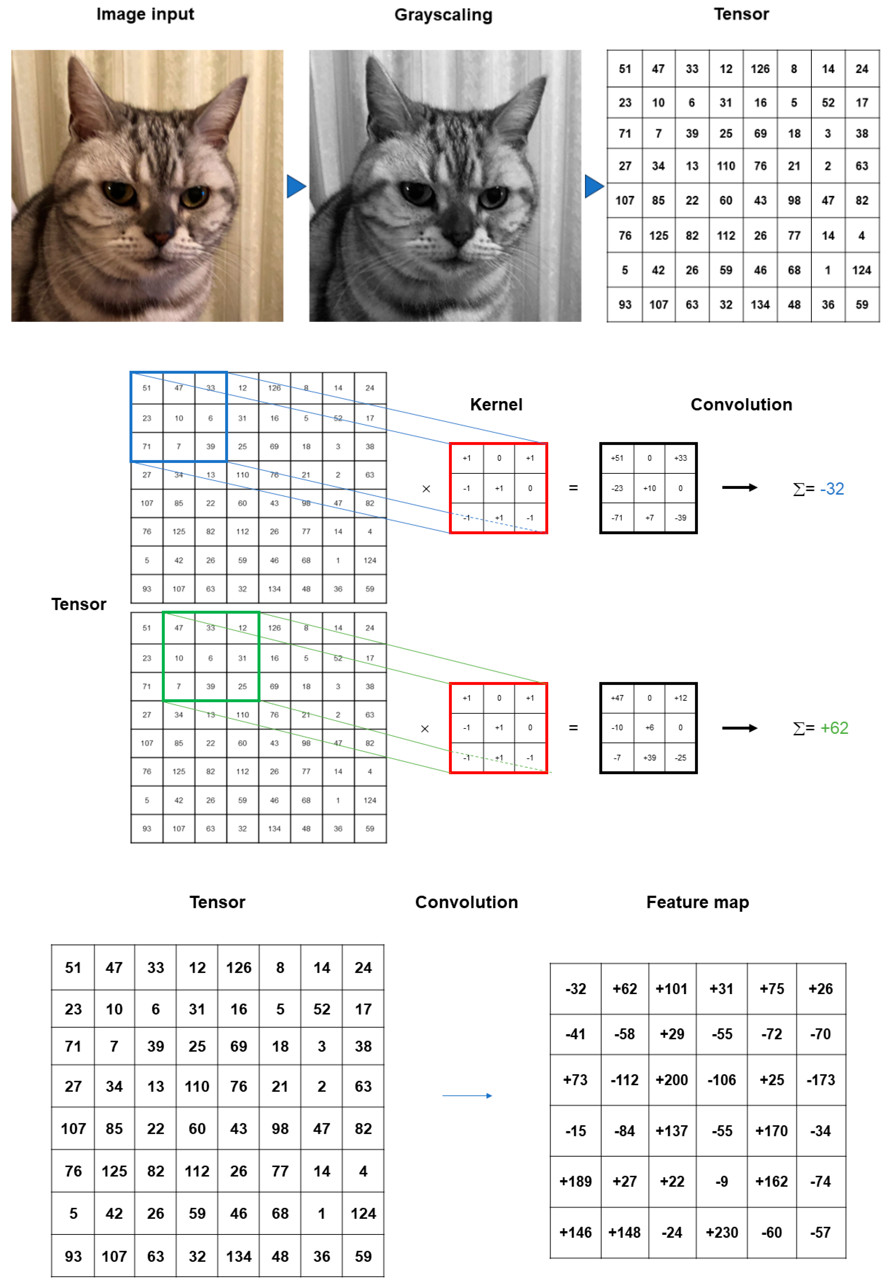 Medicina 60 00972 g002