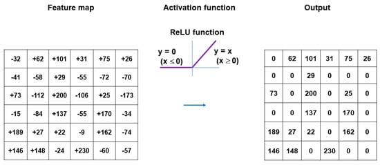 Medicina 60 00972 g003