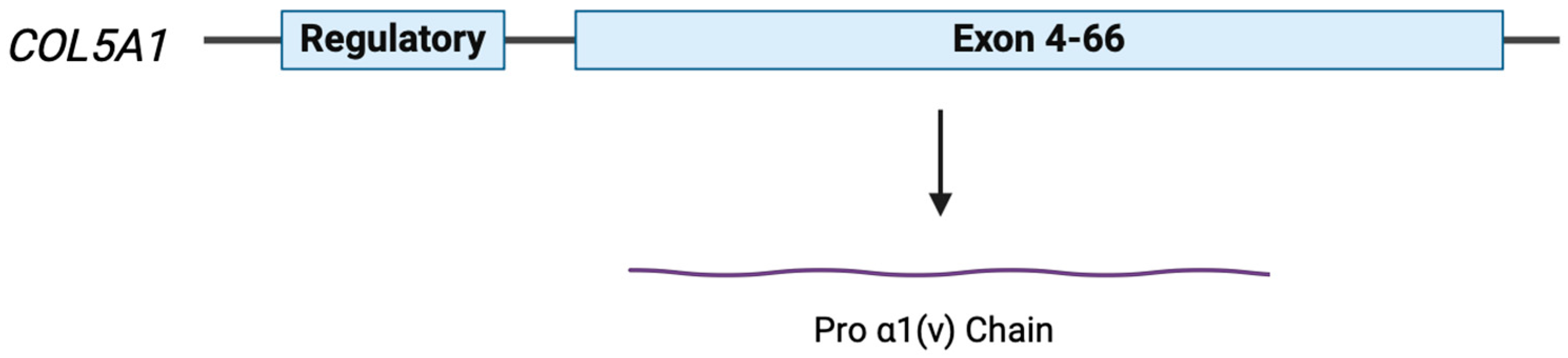 Medicina 60 00974 g002