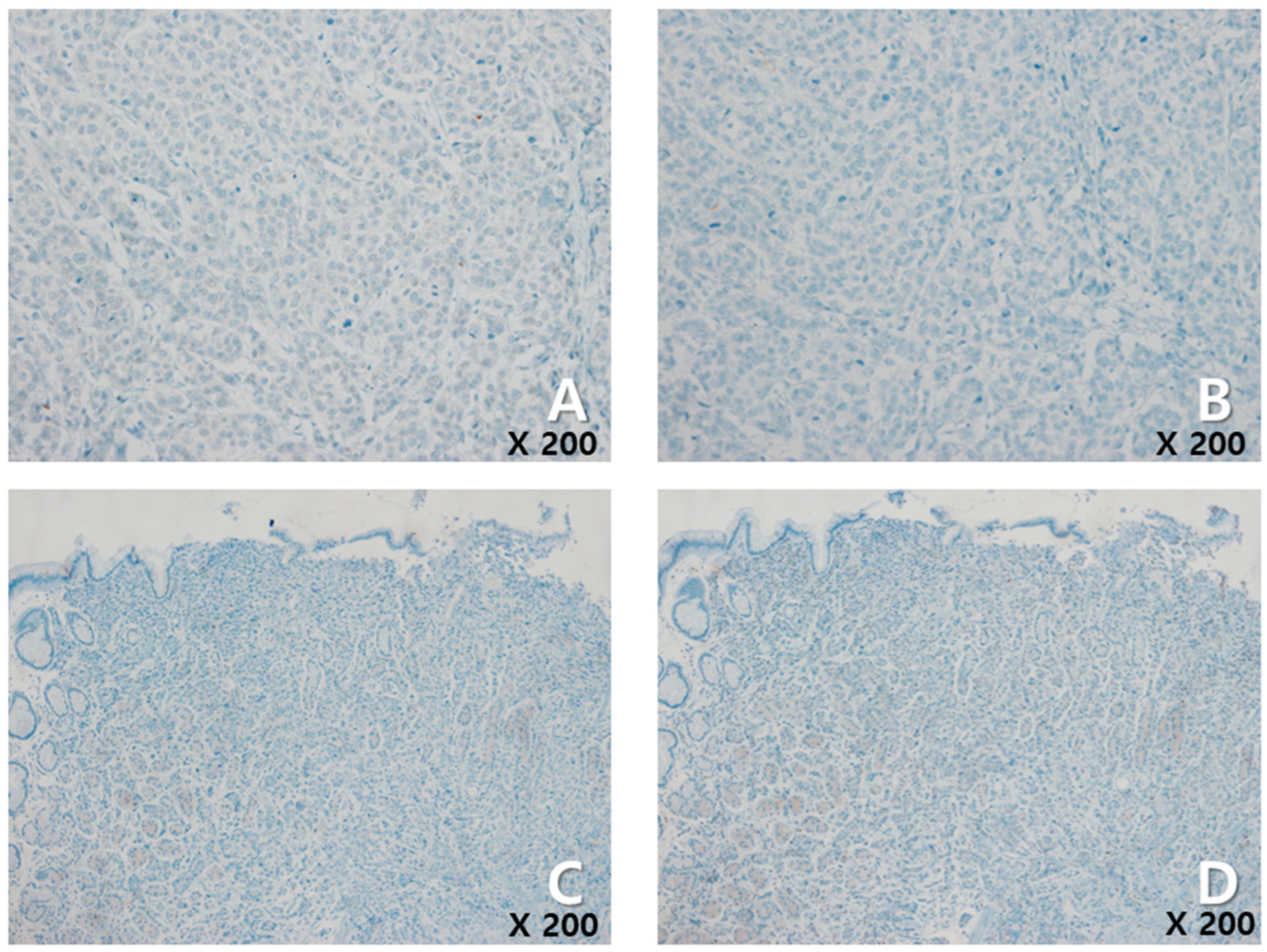 Medicina 60 00980 g002
