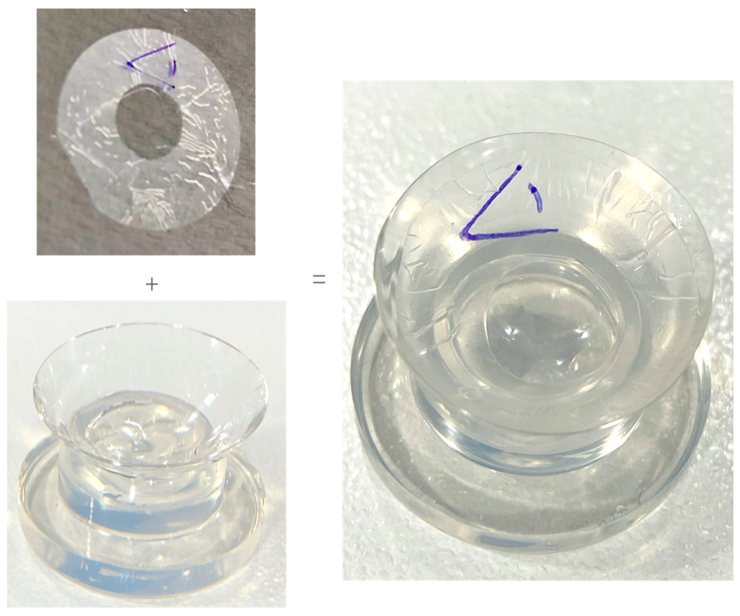 Medicina 60 00985 g002