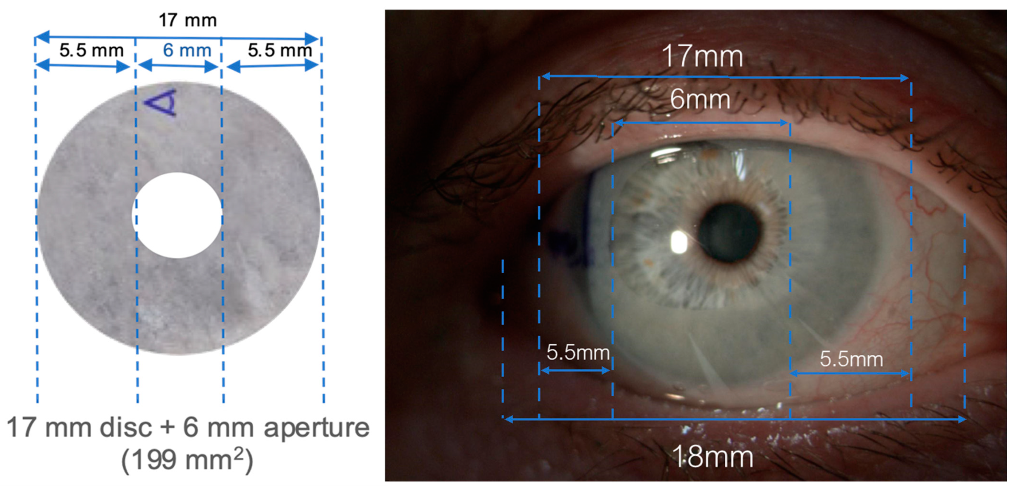 Medicina 60 00985 g003
