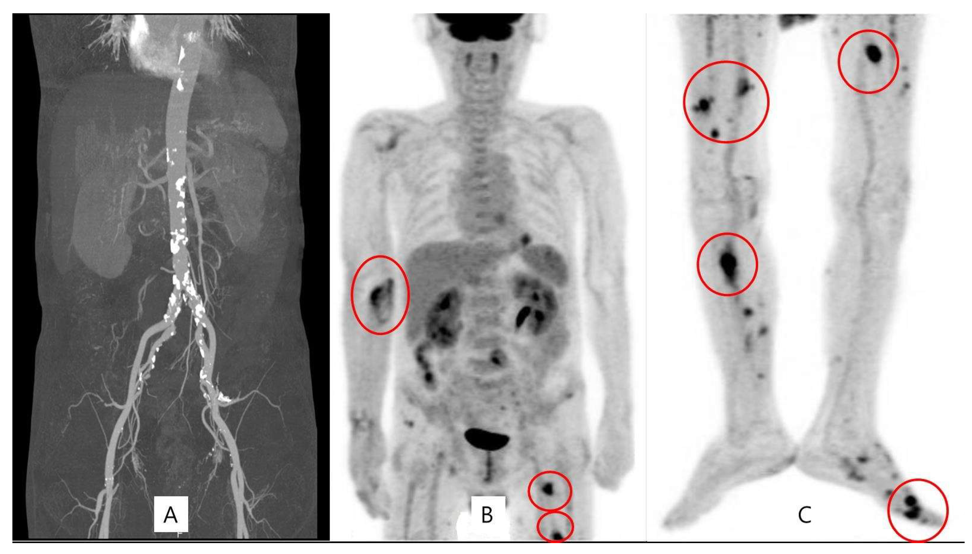 Medicina 60 01007 g002