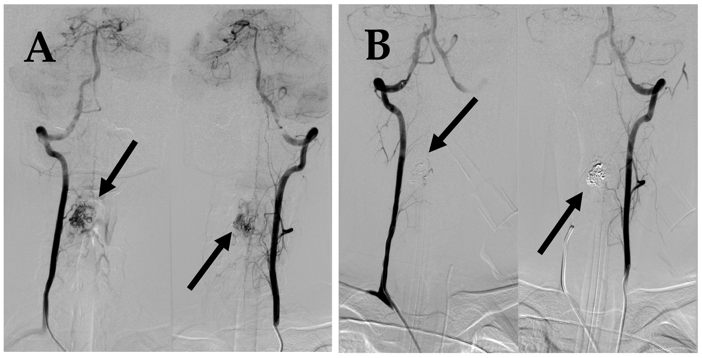 Medicina 60 01011 g002