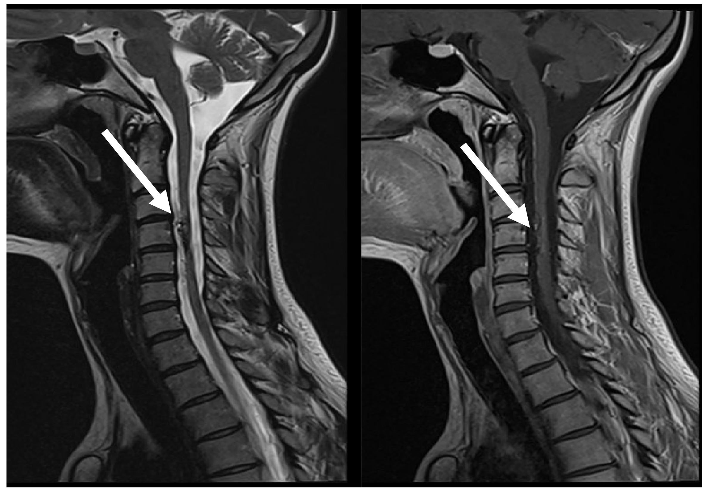 Medicina 60 01011 g006
