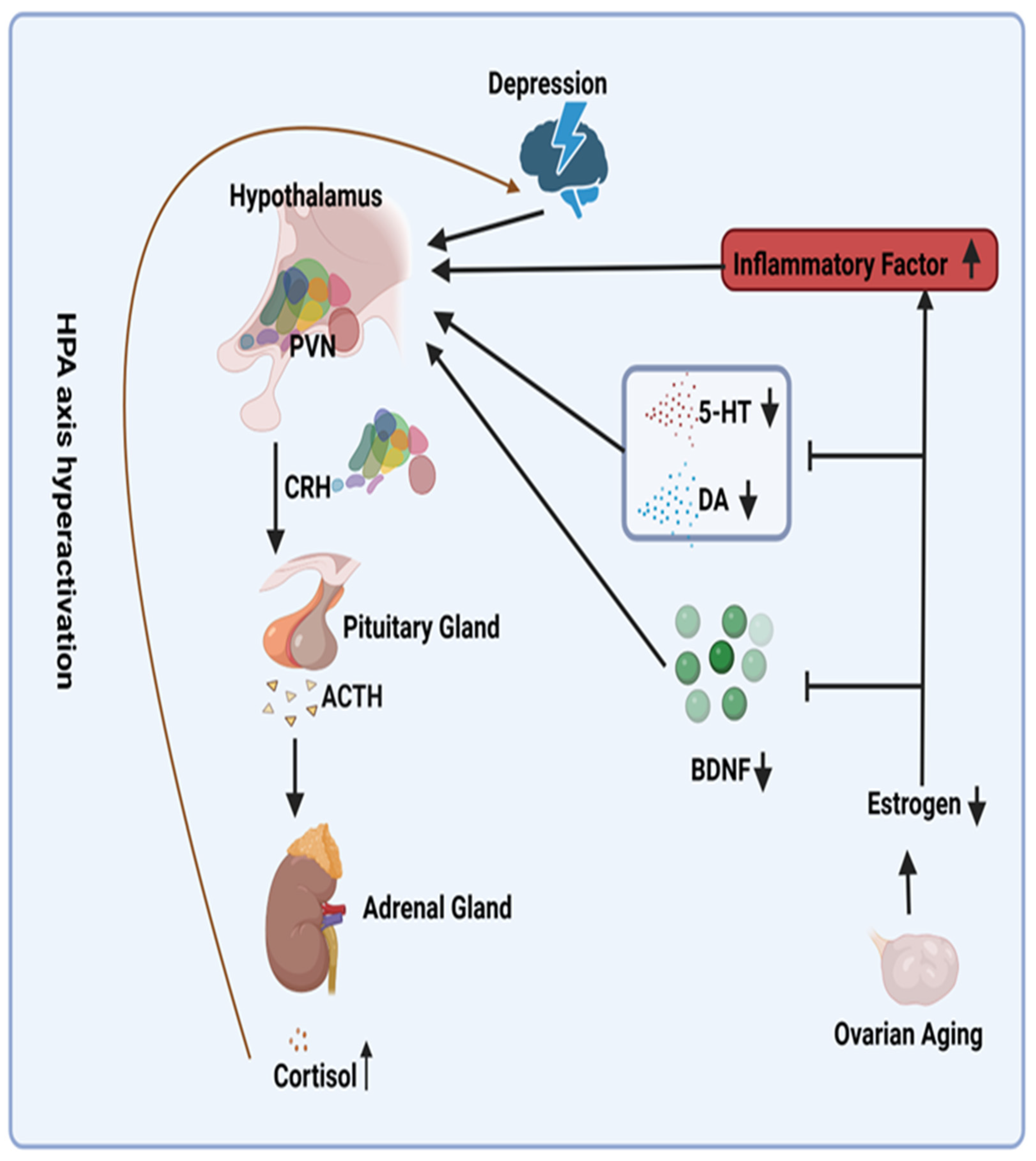 Medicina 60 01076 g002