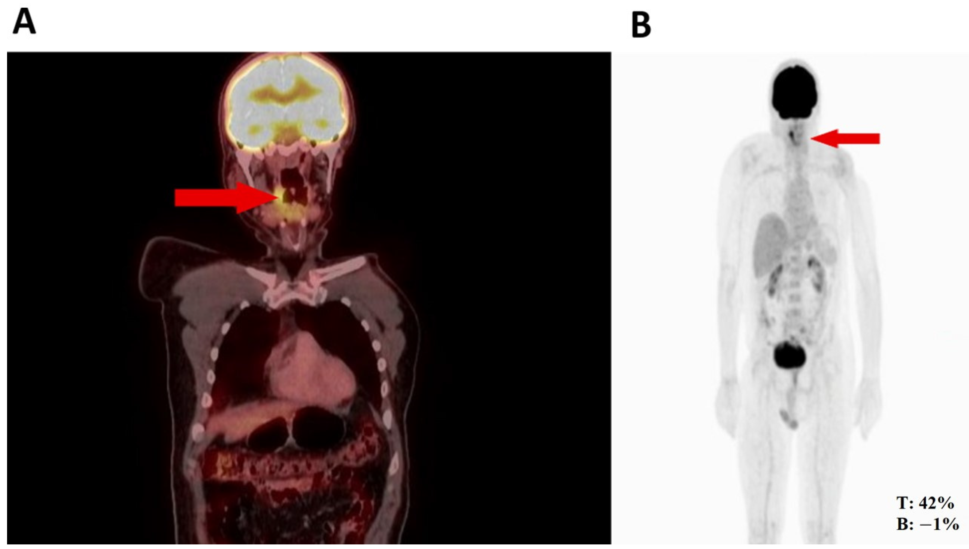 Medicina 60 01172 g001 Medicina 60 01172 g001