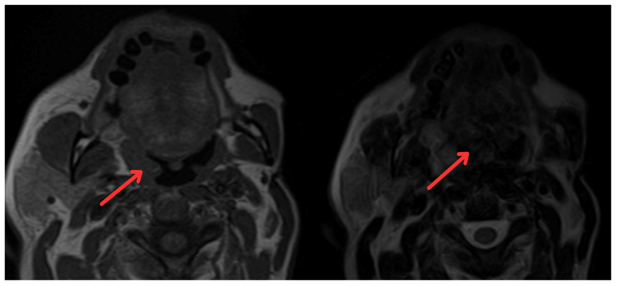 Medicina 60 01172 g002 Medicina 60 01172 g002