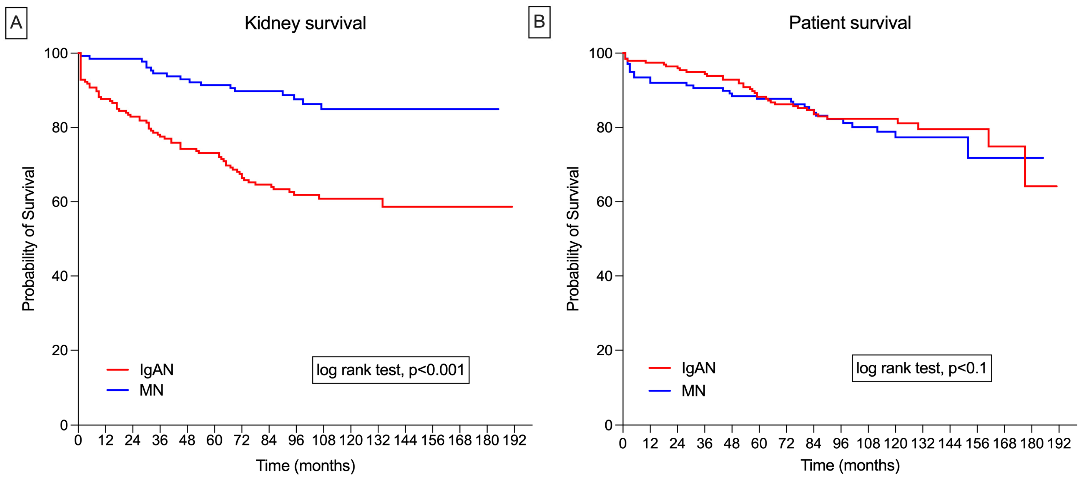Medicina 60 01191 g001