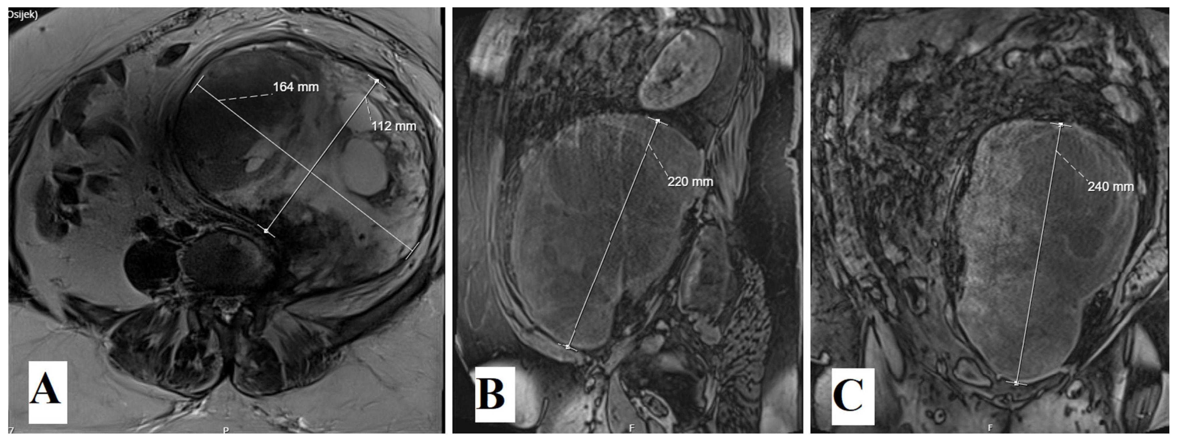 Medicina 60 01203 g001