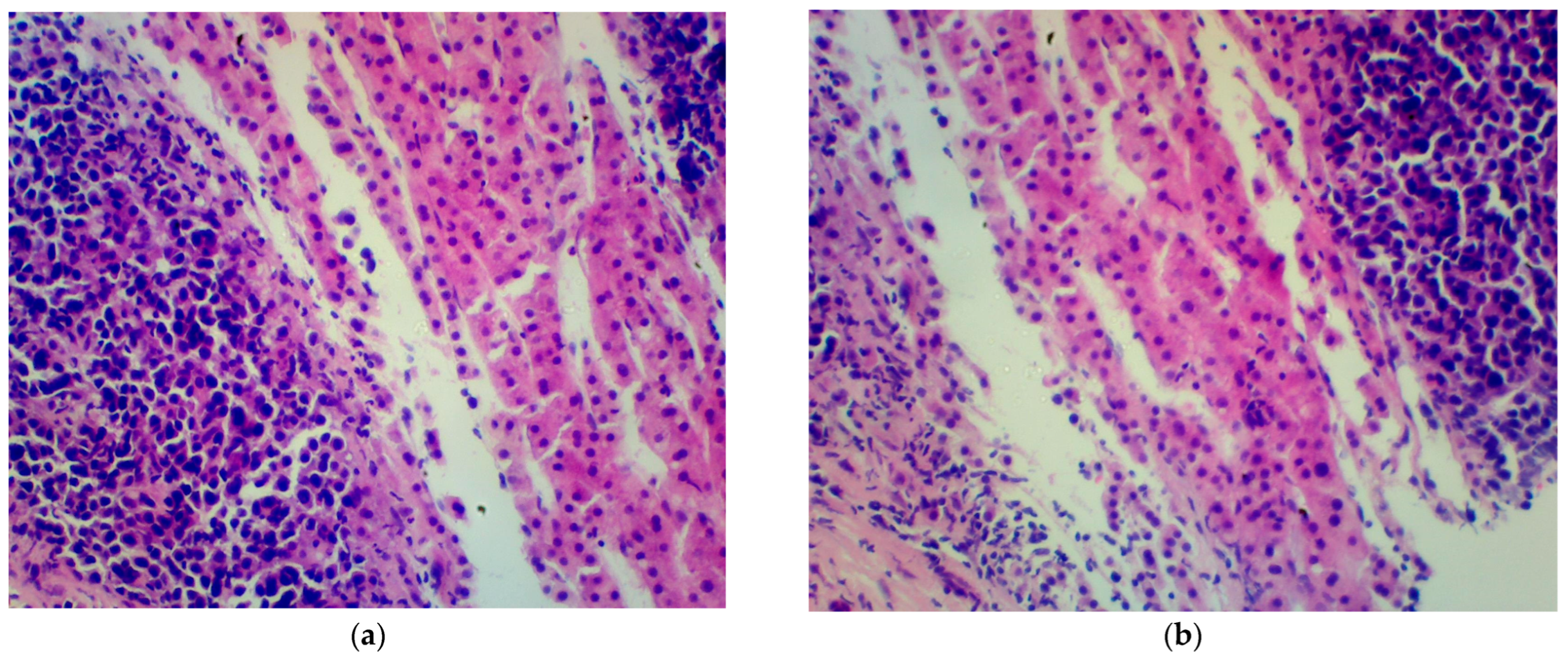 Medicina 60 01237 g001