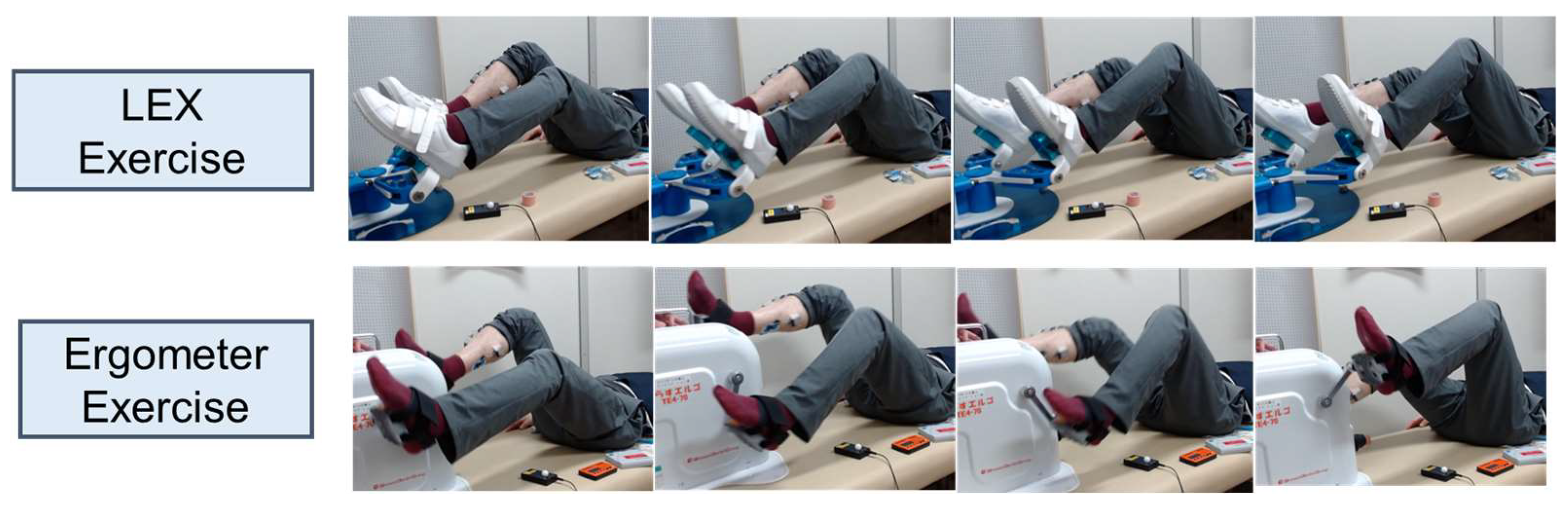 Medicina 60 01260 g002 Medicina 60 01260 g002