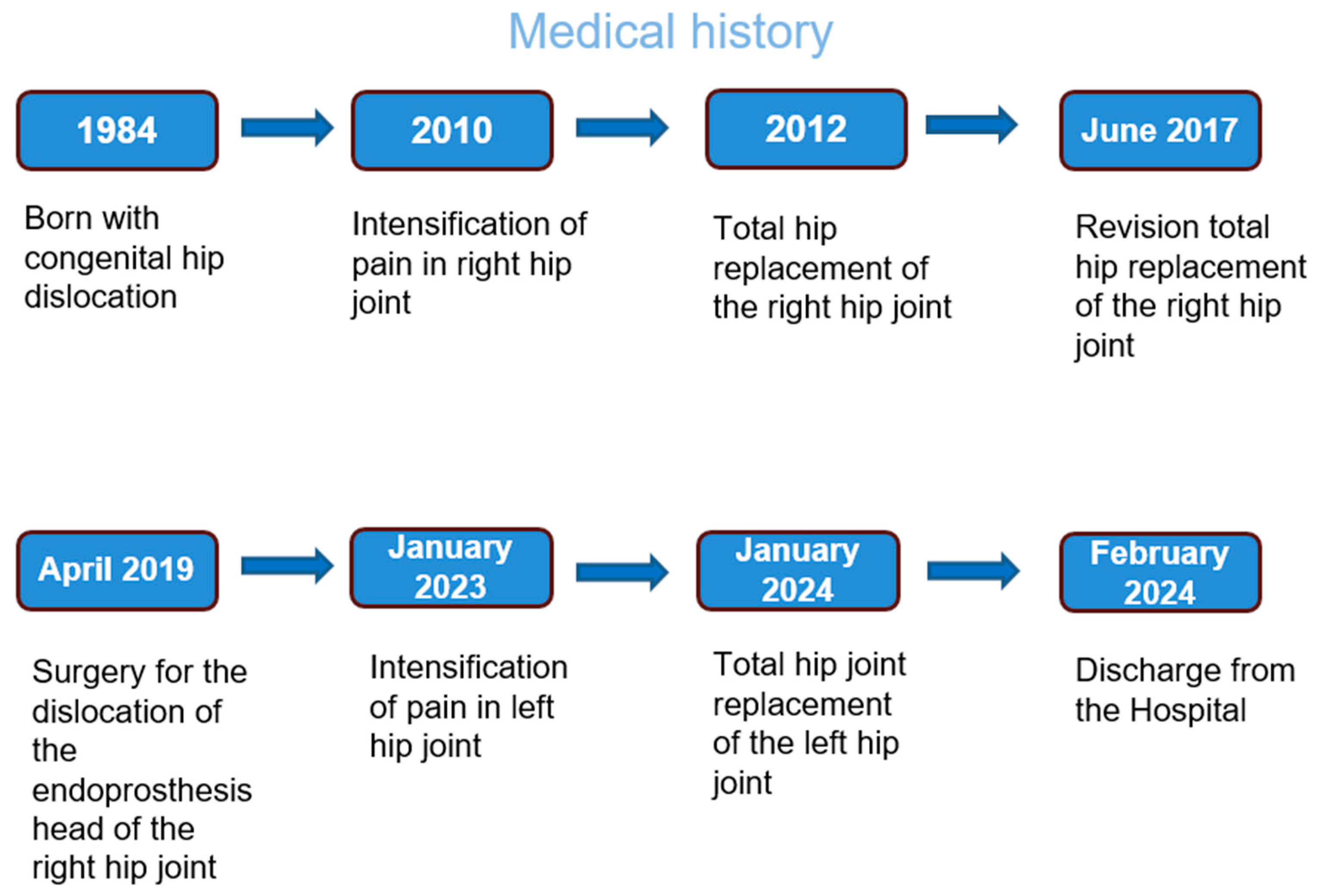 Medicina 60 01274 g001