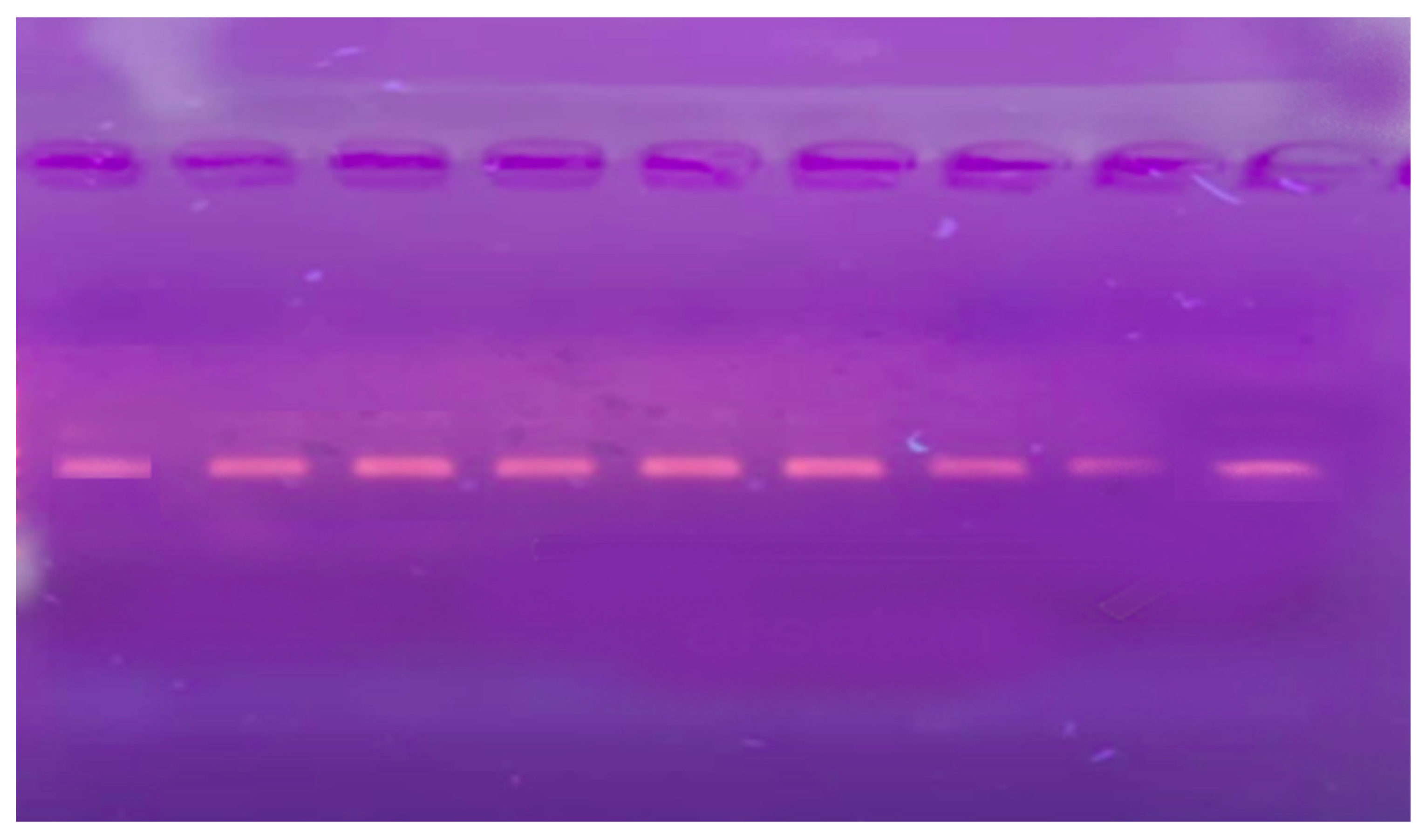 Medicina 60 01307 g001