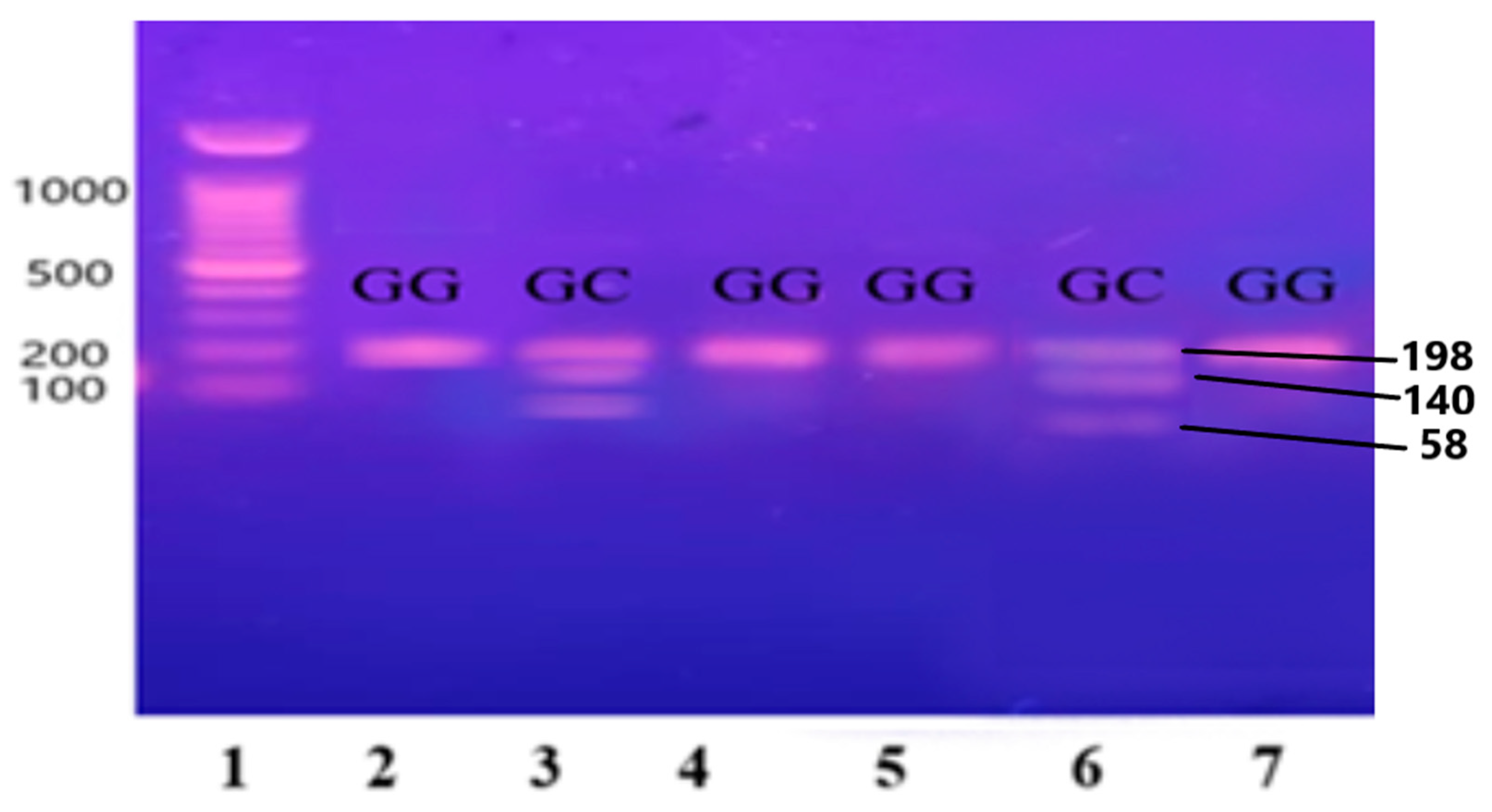 Medicina 60 01307 g003