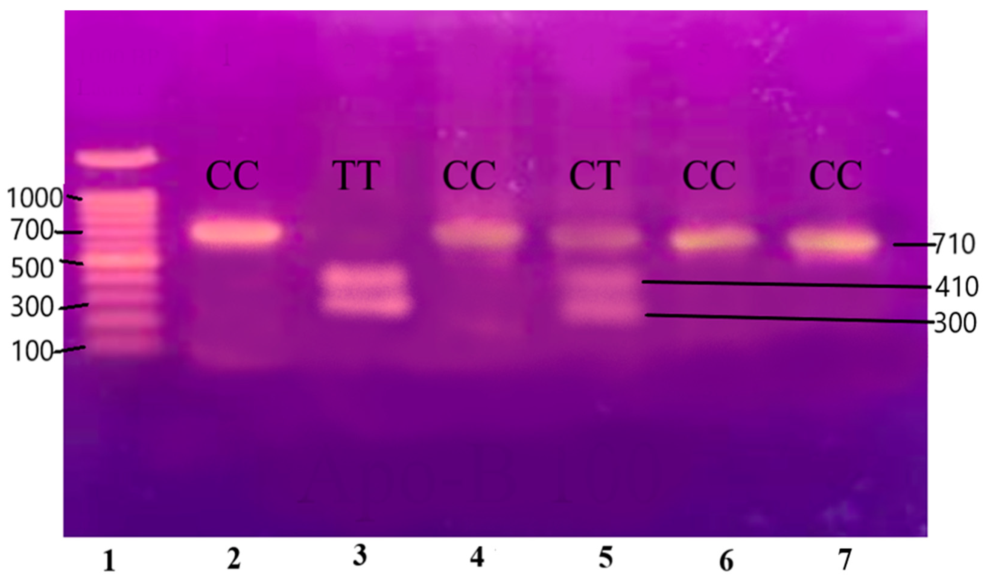 Medicina 60 01307 g005