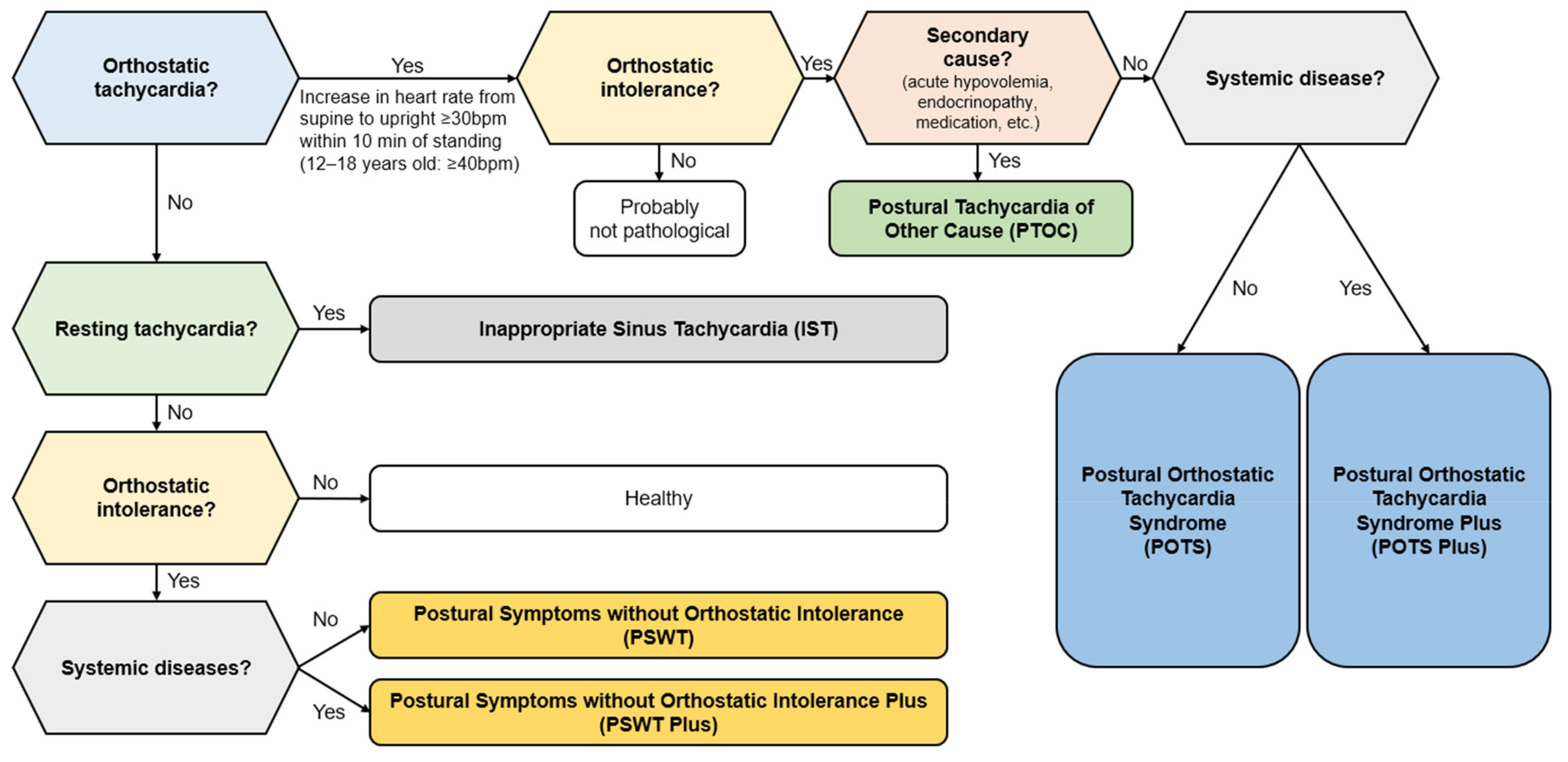 Medicina 60 01325 g001
