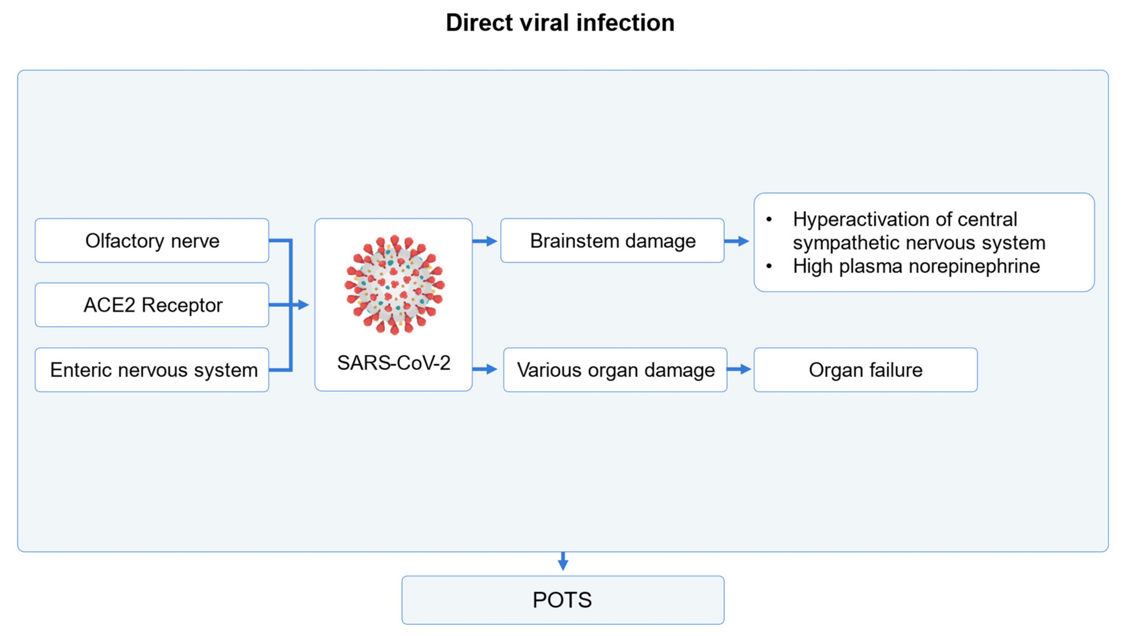 Medicina 60 01325 g002