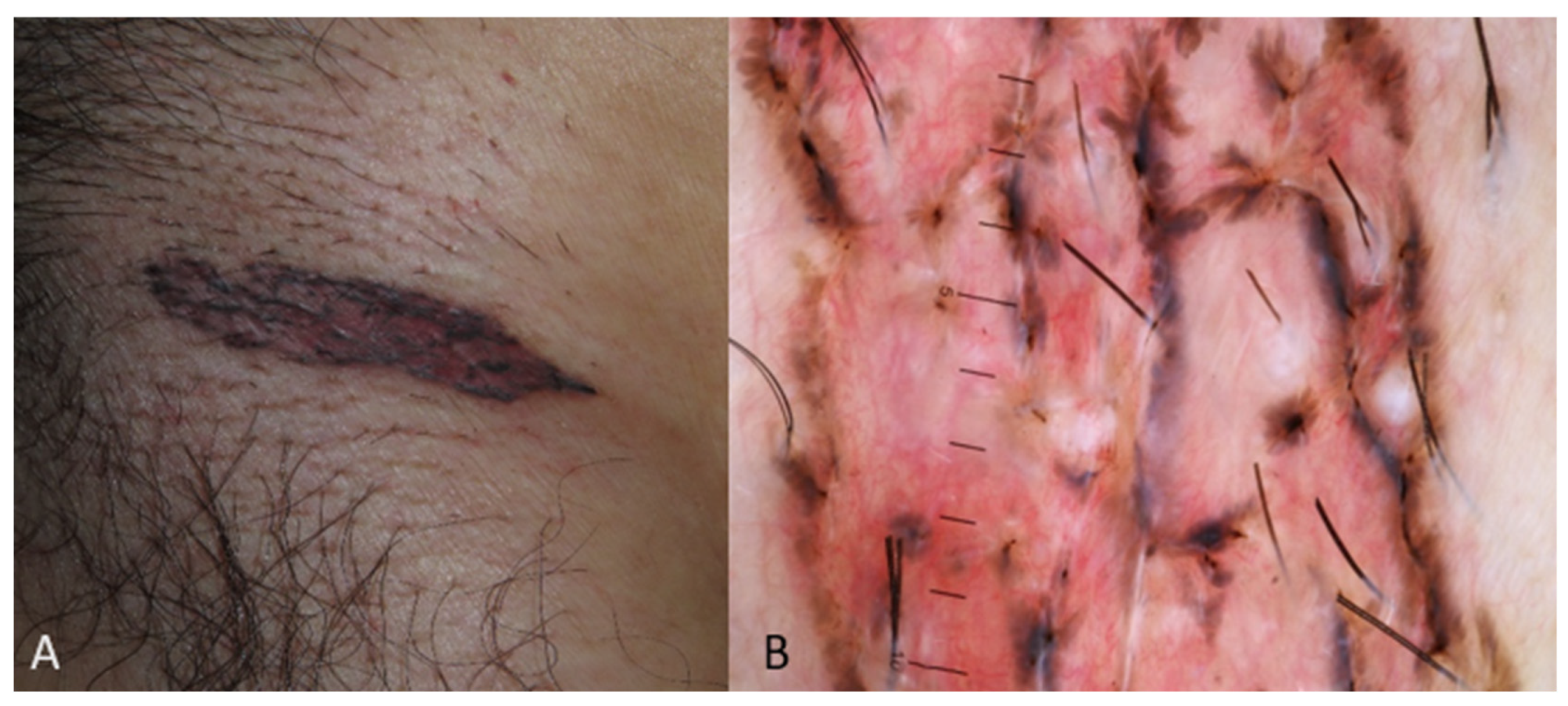 Medicina 60 01386 g001 Medicina 60 01386 g001