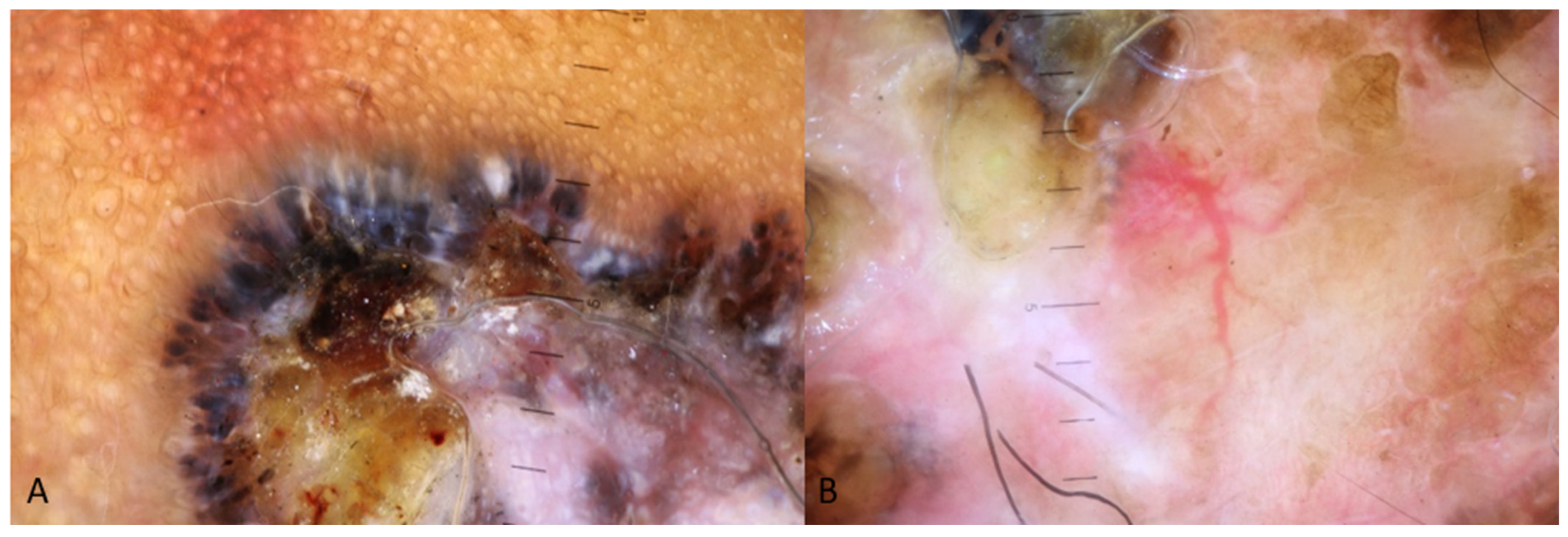 Medicina 60 01386 g003 Medicina 60 01386 g003