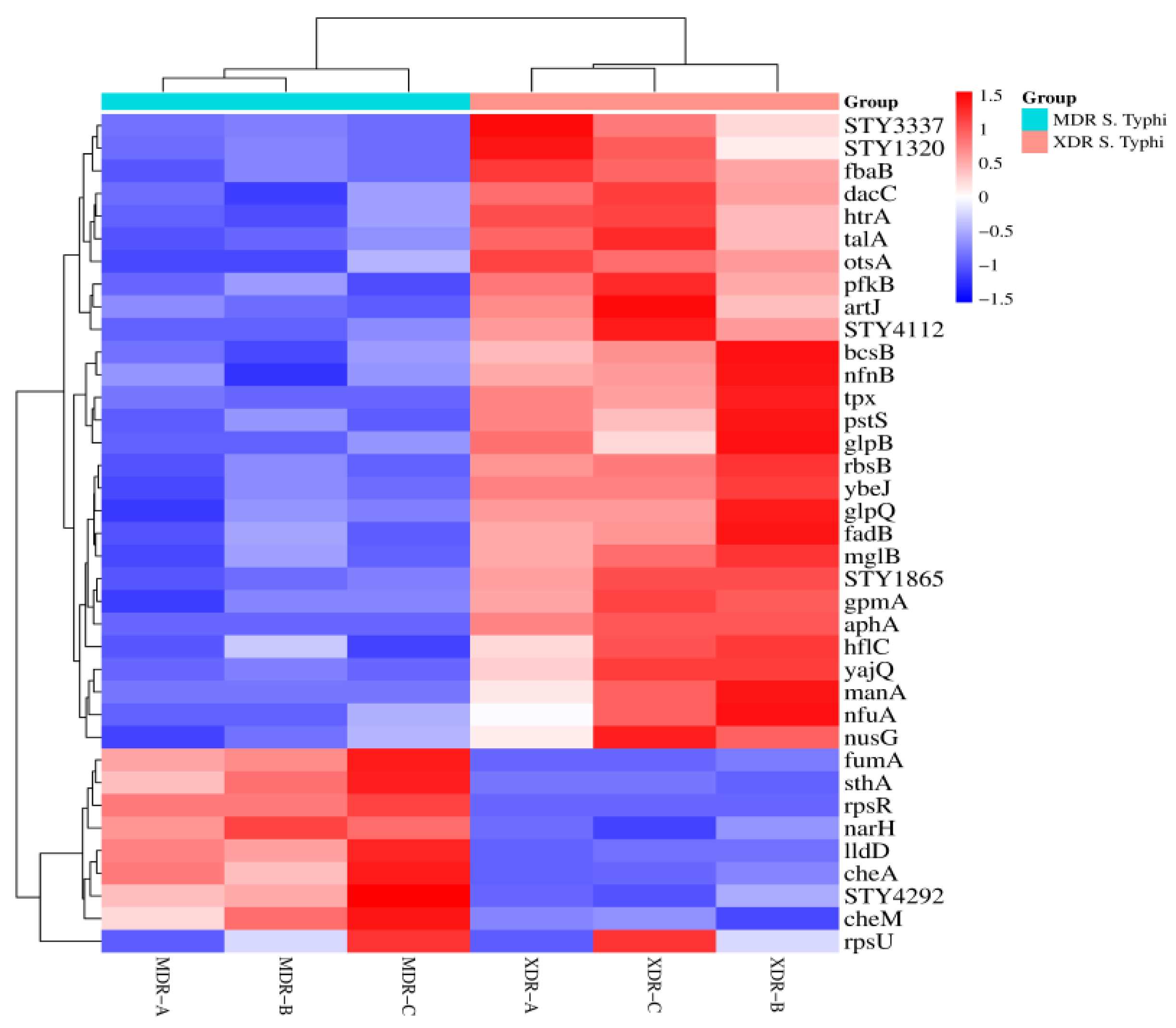 Medicina 60 01404 g003
