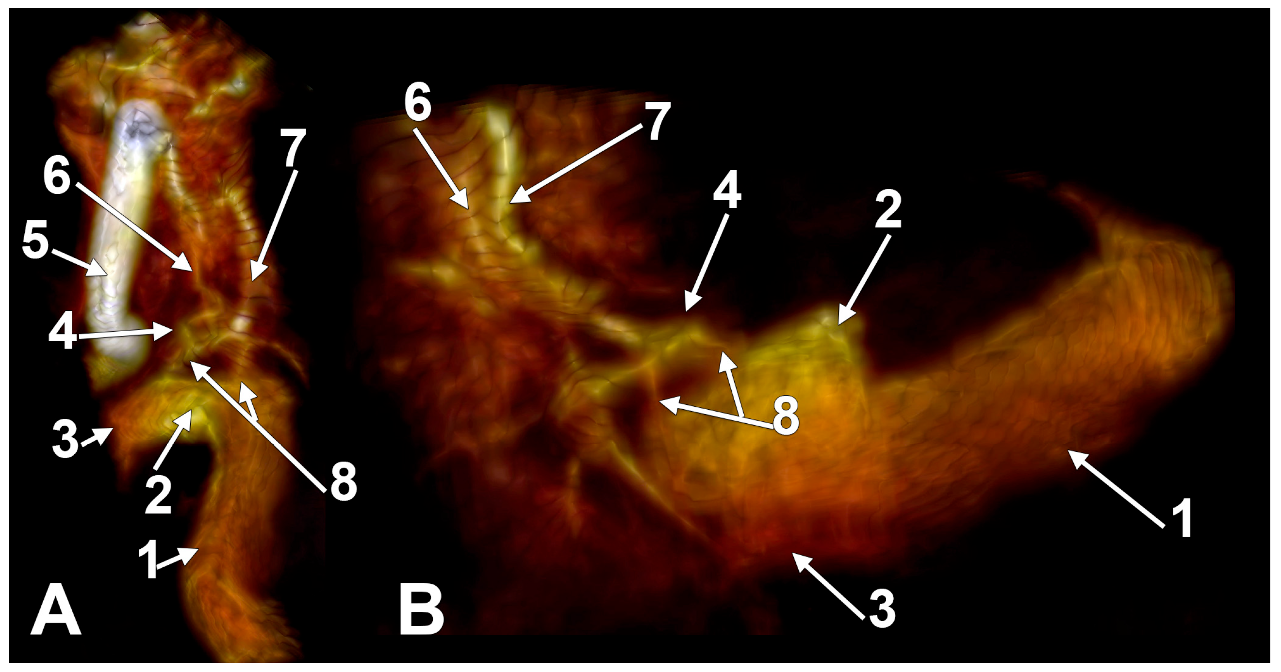 Medicina 60 01408 g002